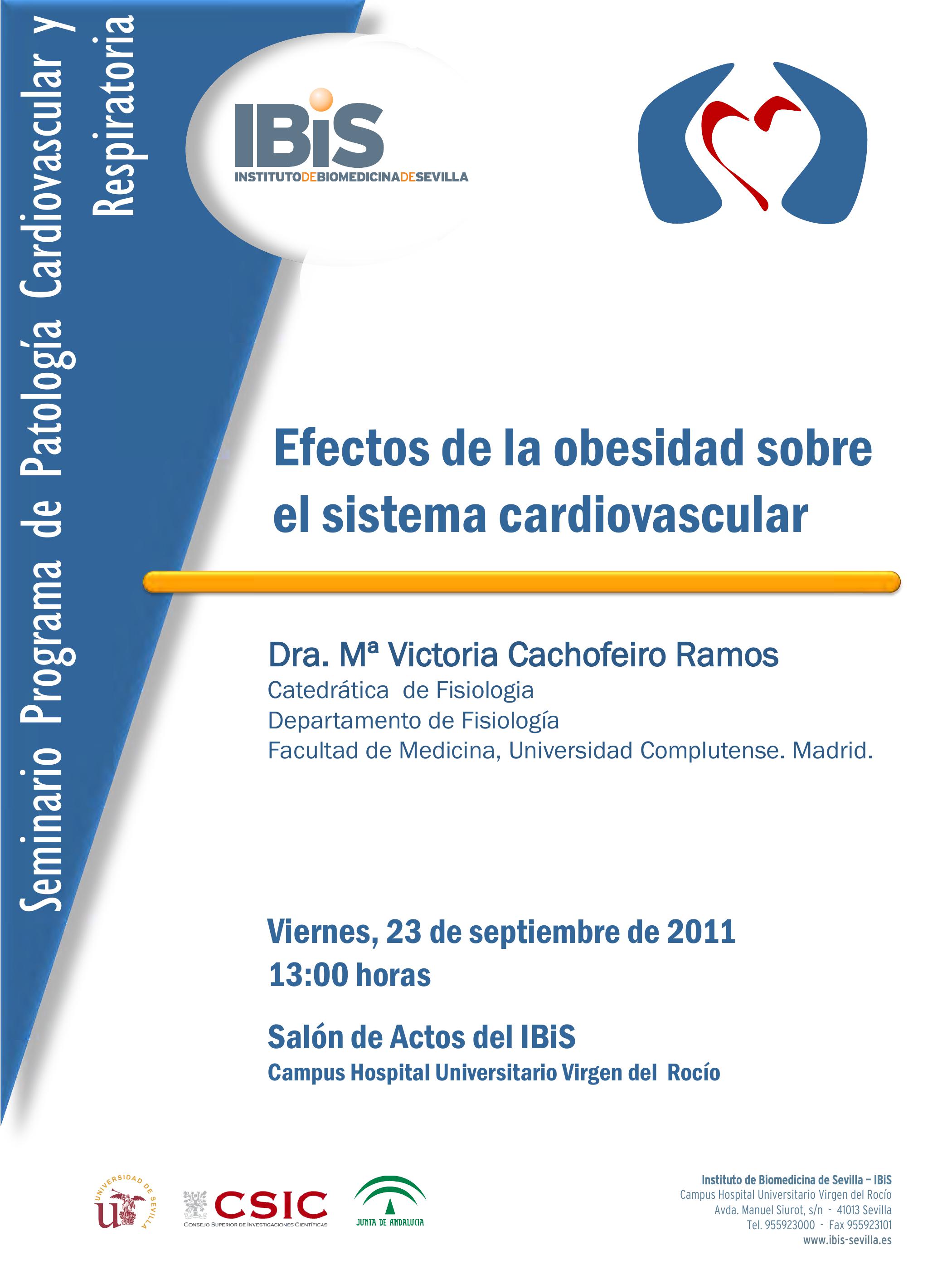Poster: Efectos de la obesidad sobre el sistema cardiovascular.