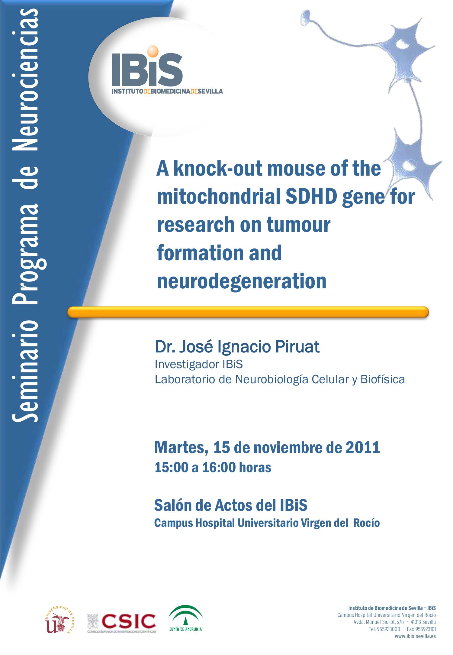 Poster: A knock-out mouse of the mitochondrial SDHD gene for research on tumour formation and neurodegeneration.
