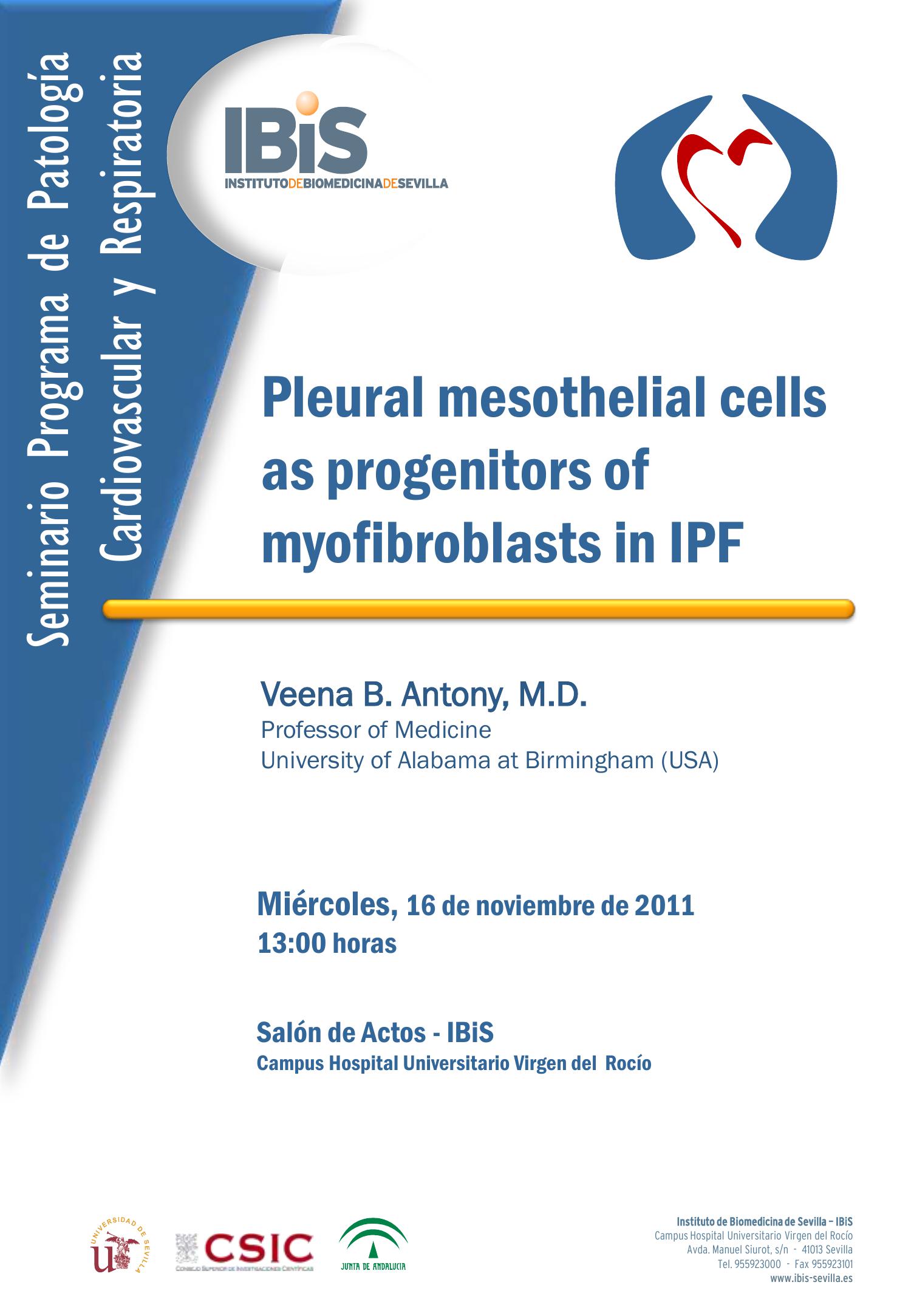 Poster: Pleural mesothelial cells as progenitors of myofibroblasts in IPF.