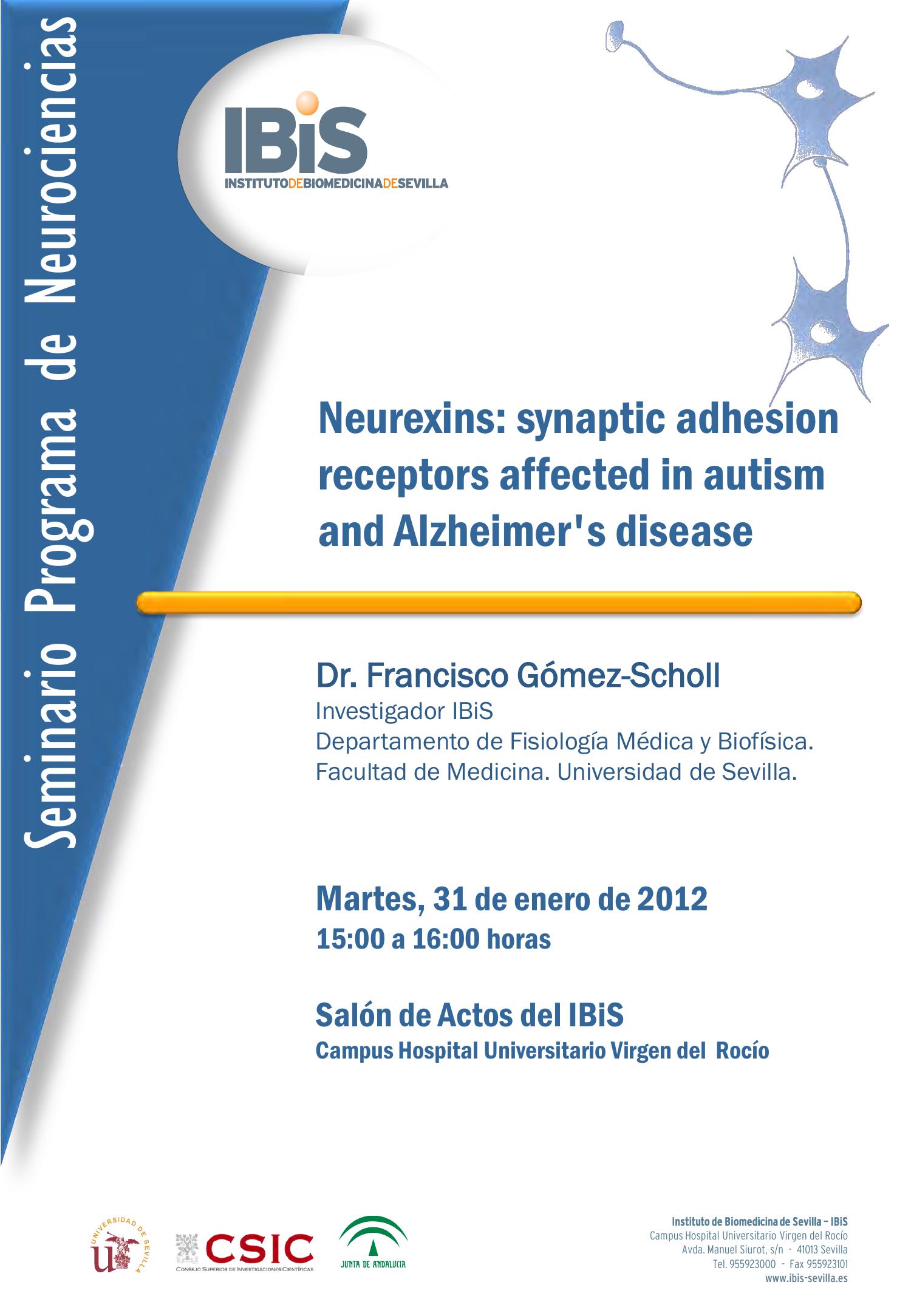 Poster: Neurexins: synaptic adhesion receptors affected in autism and Alzheimer's disease