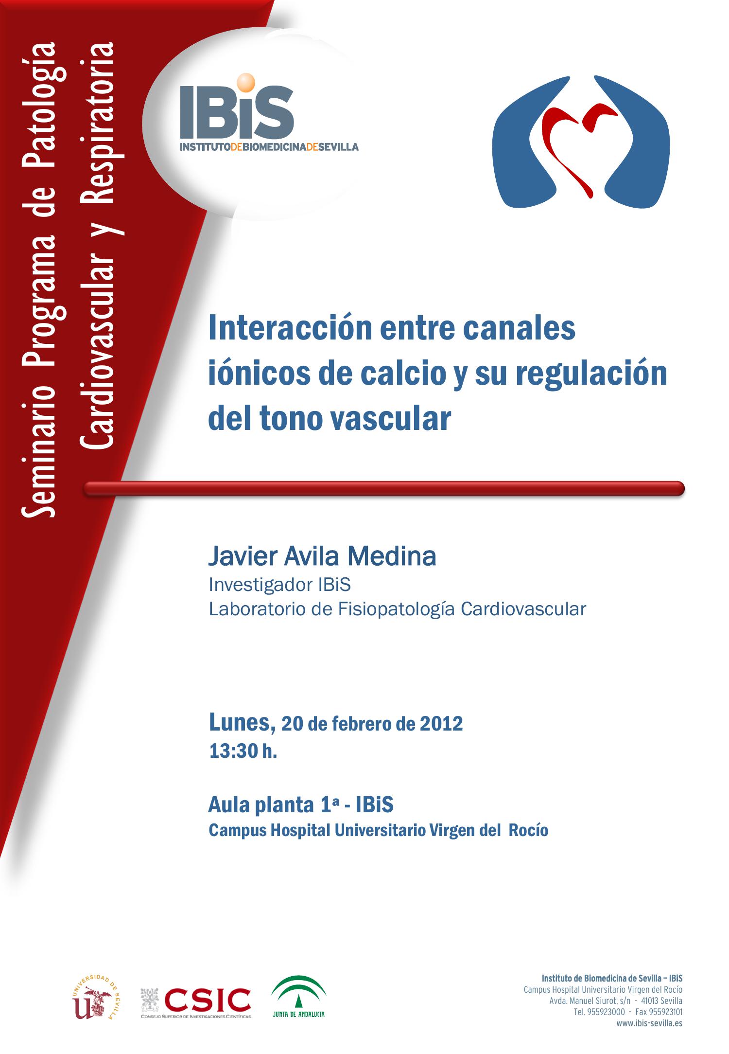 Poster: Interacción entre canales iónicos de calcio y su regulación del tono vascular