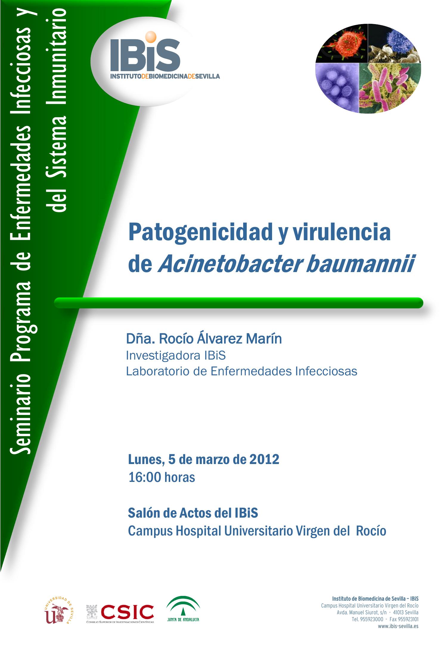 Poster: Patogenicidad y virulencia de Acinetobacter baumannii