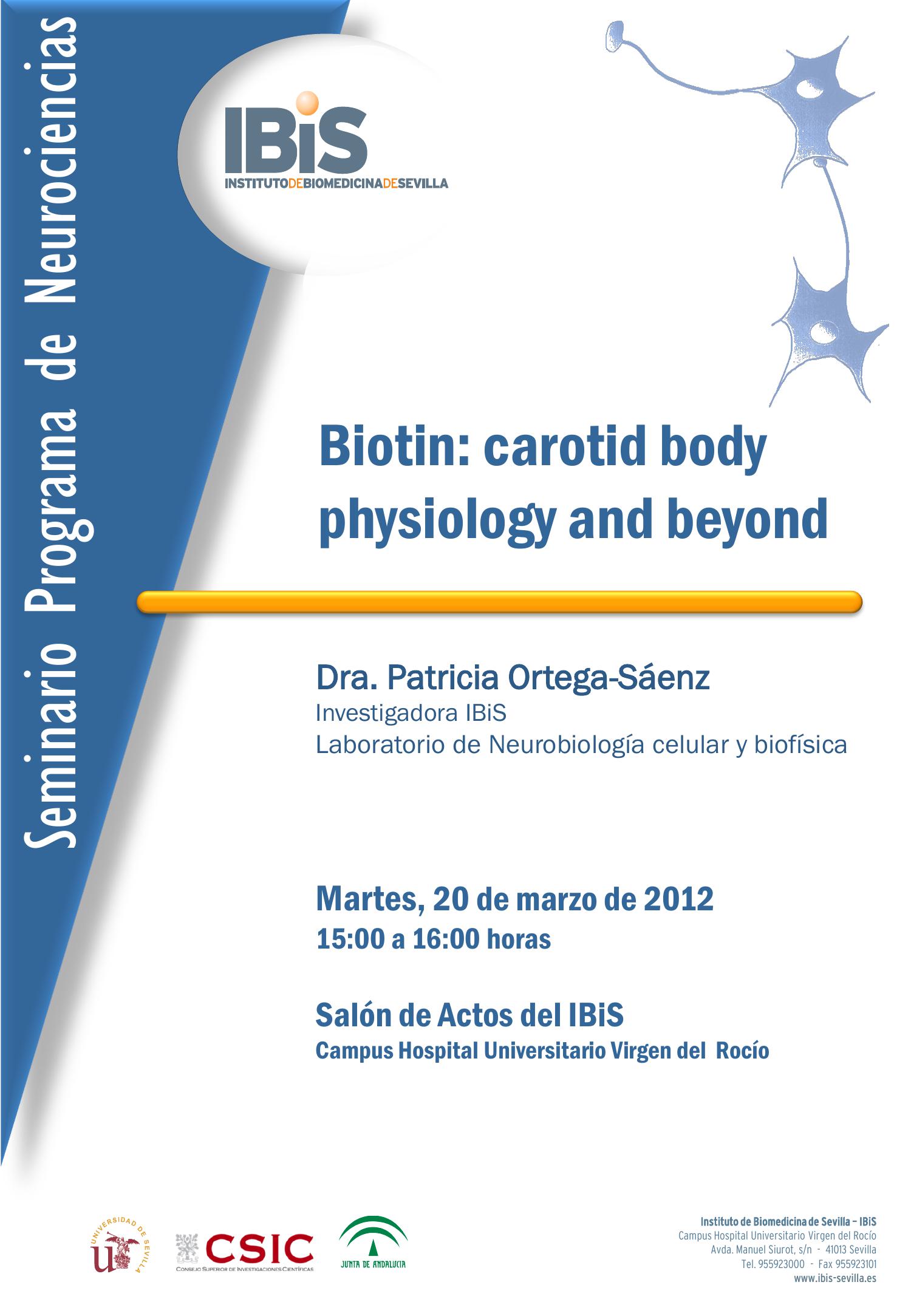 Poster: Biotin: carotid body physiology and beyond.