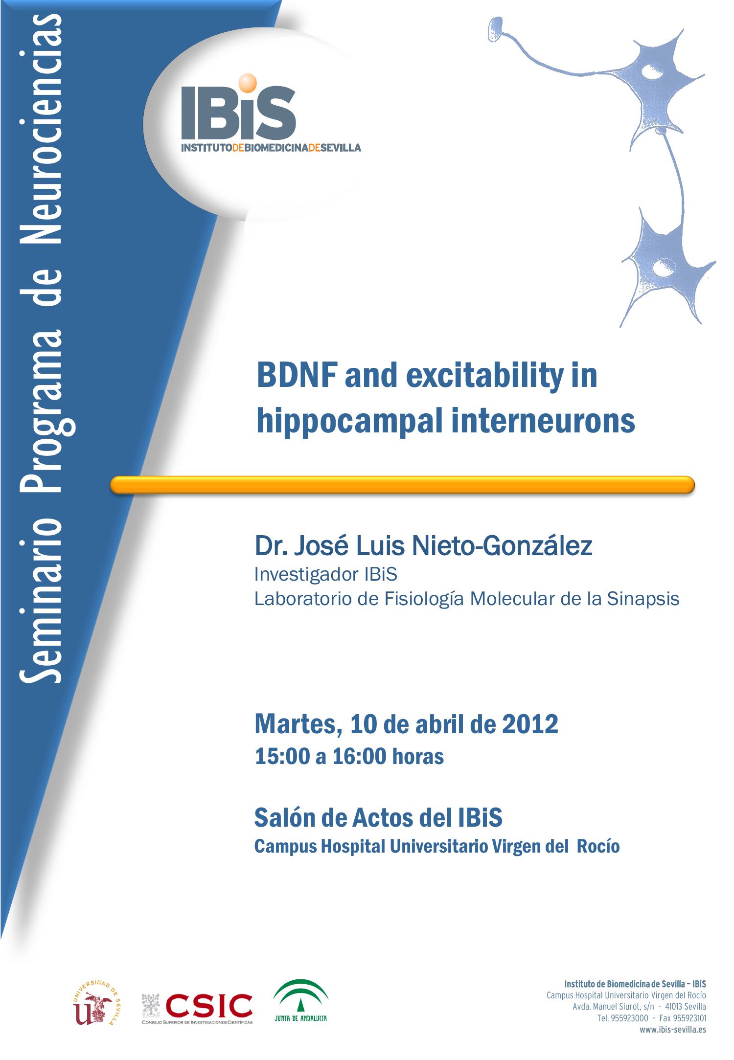 Poster: BDNF and excitability in hippocampal interneurons.
