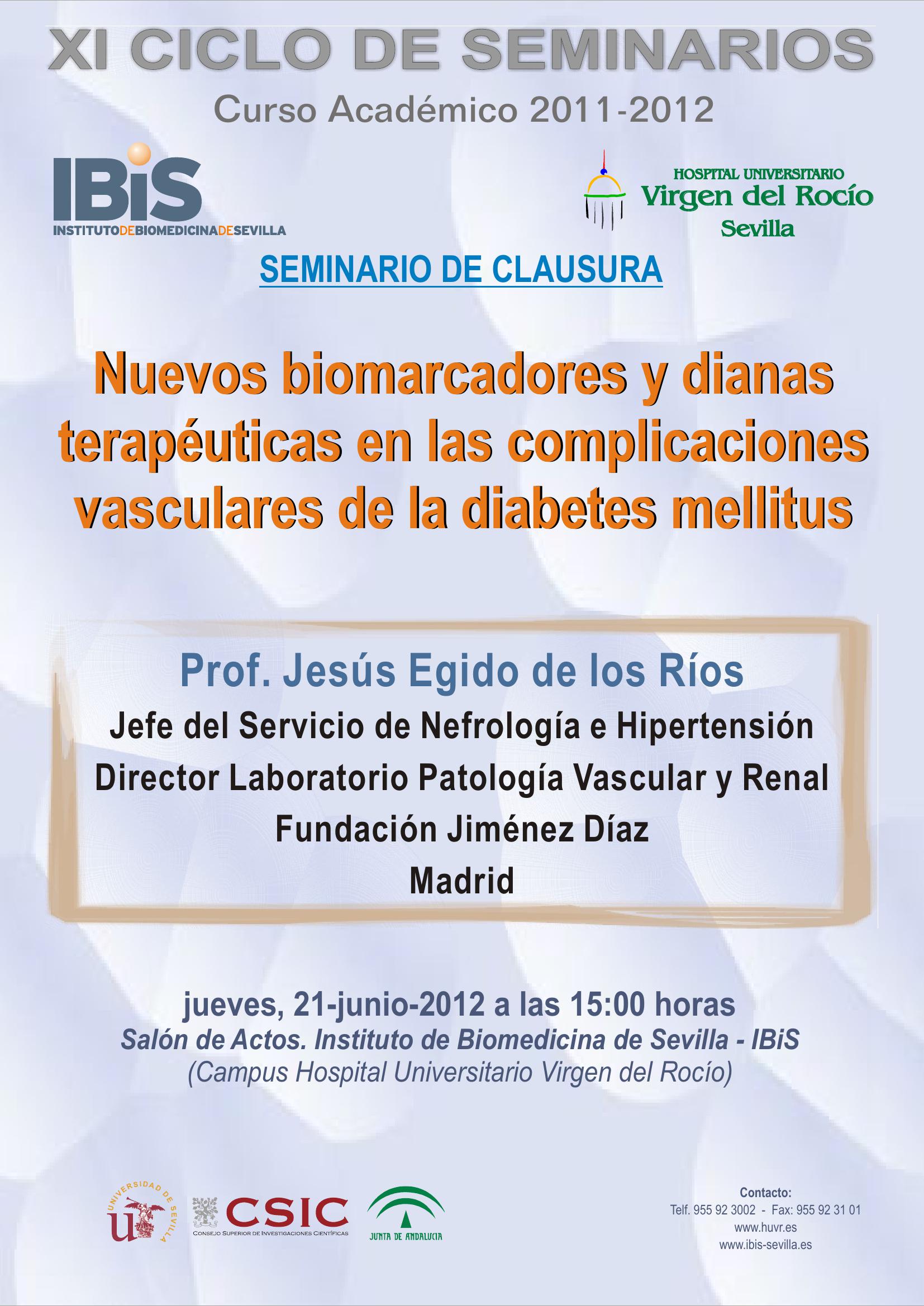 Poster: Nuevos biomarcadores y dianas terapéuticas en las complicaciones vasculares de la diabetes mellitus.