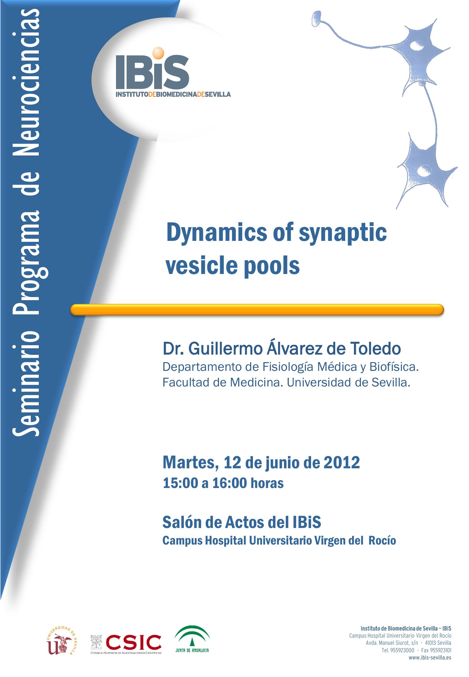 Poster: Dynamics of synaptic vesicle pools.