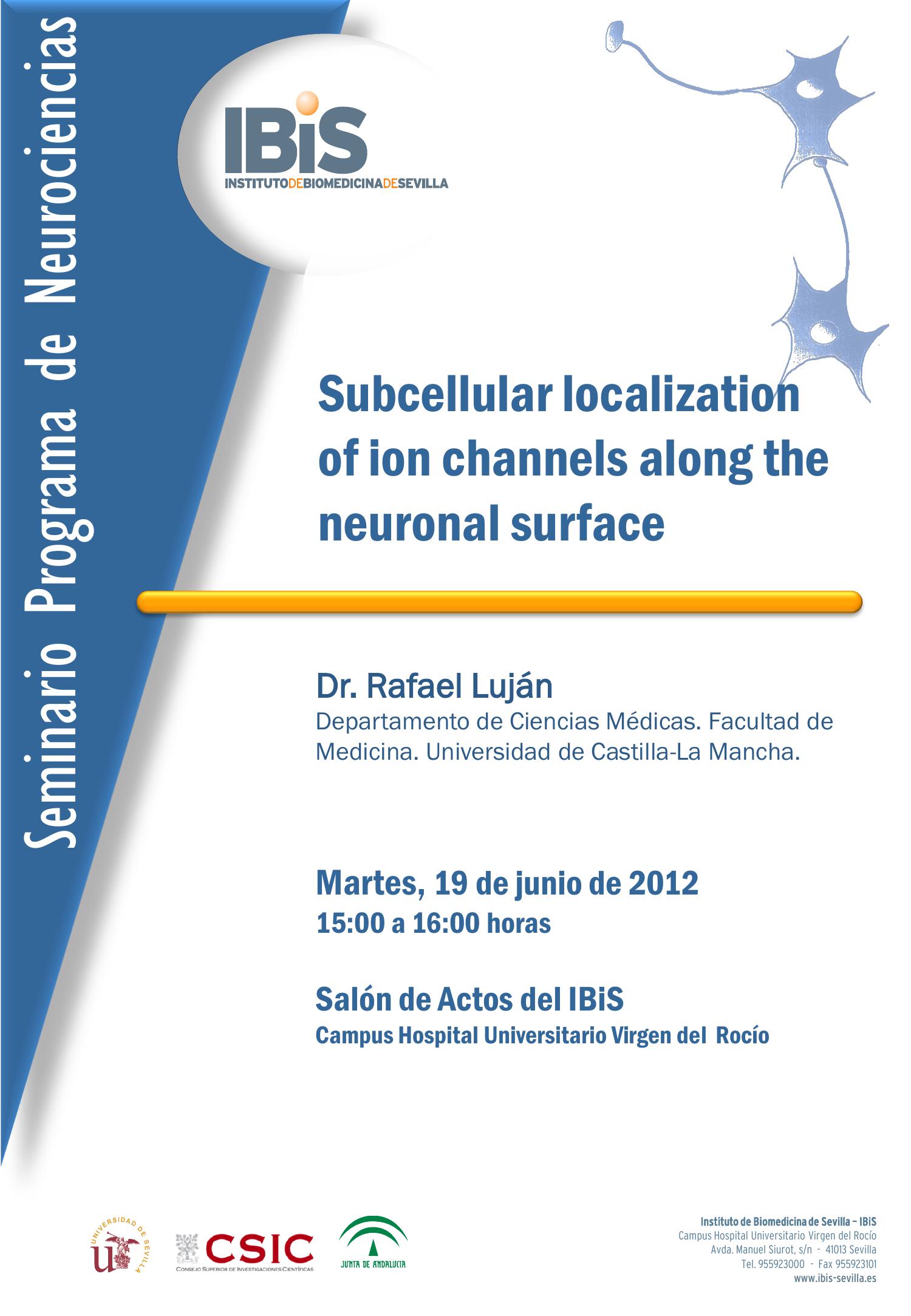 Poster: Subcellular localization of ion channels along the neuronal surface.