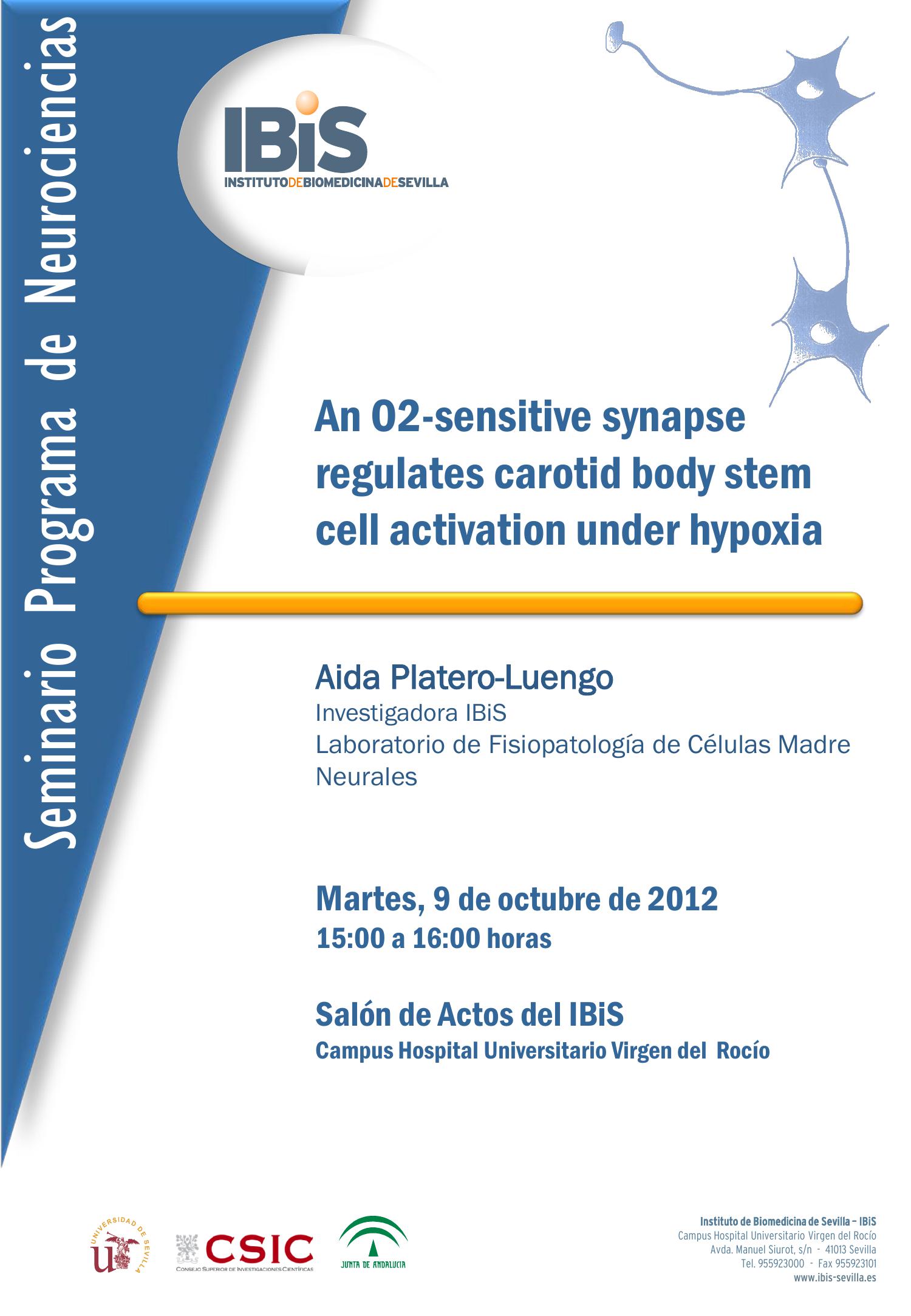 Poster: An O2-sensitive synapse regulates carotid body stem cell activation under hypoxia.