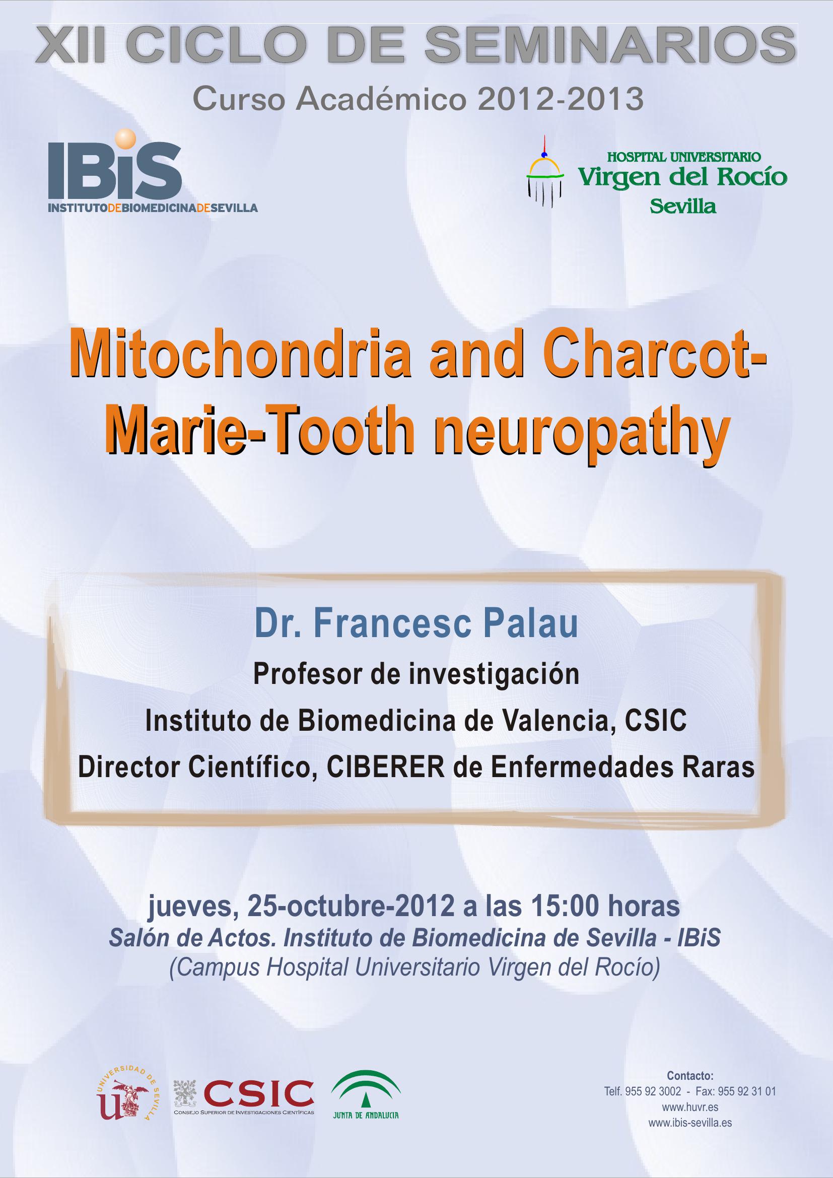 Poster: Mitochondria and Charcot-Marie-Tooth neuropathy.