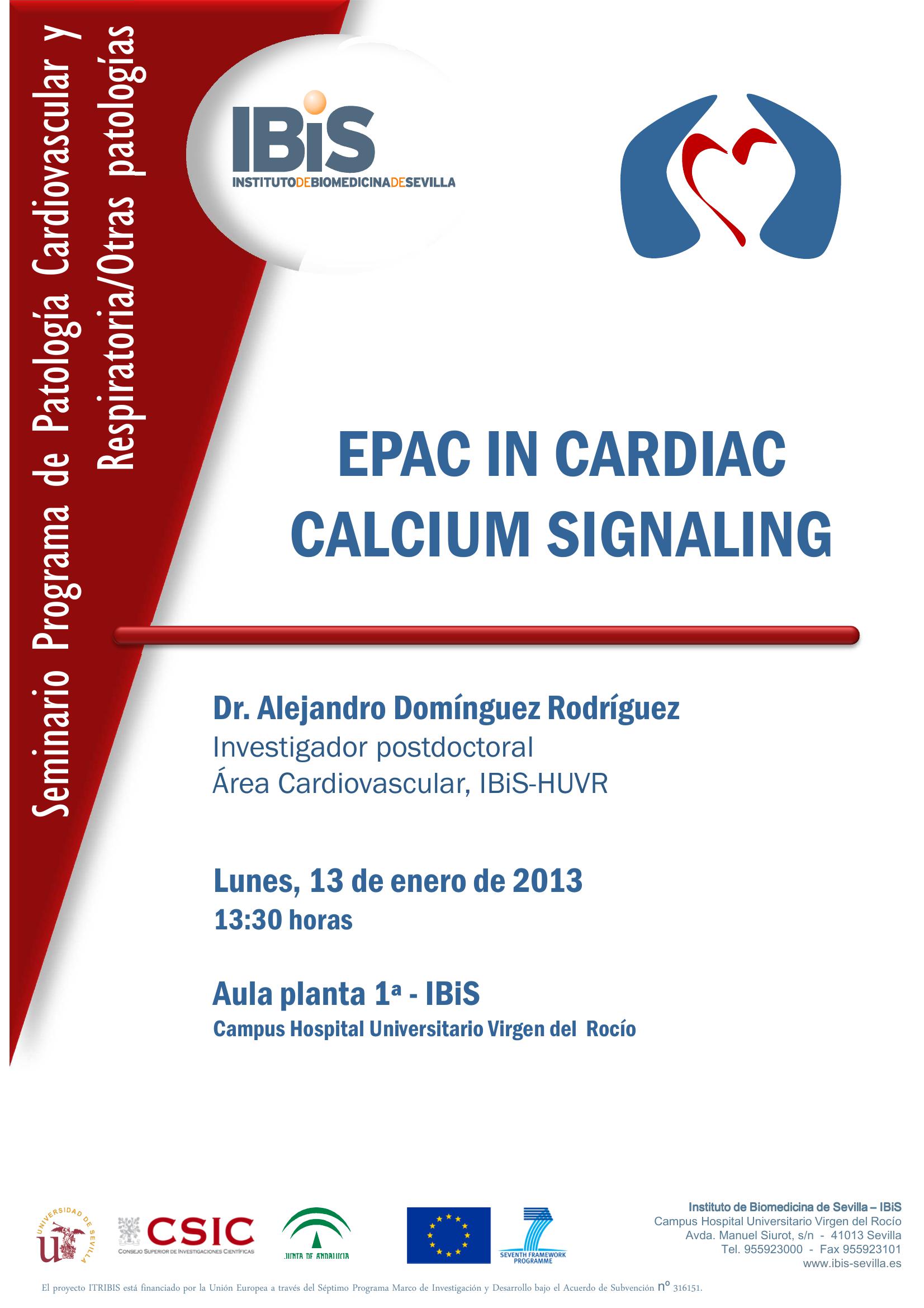 Poster: EPAC IN CARDIAC CALCIUM SIGNALING