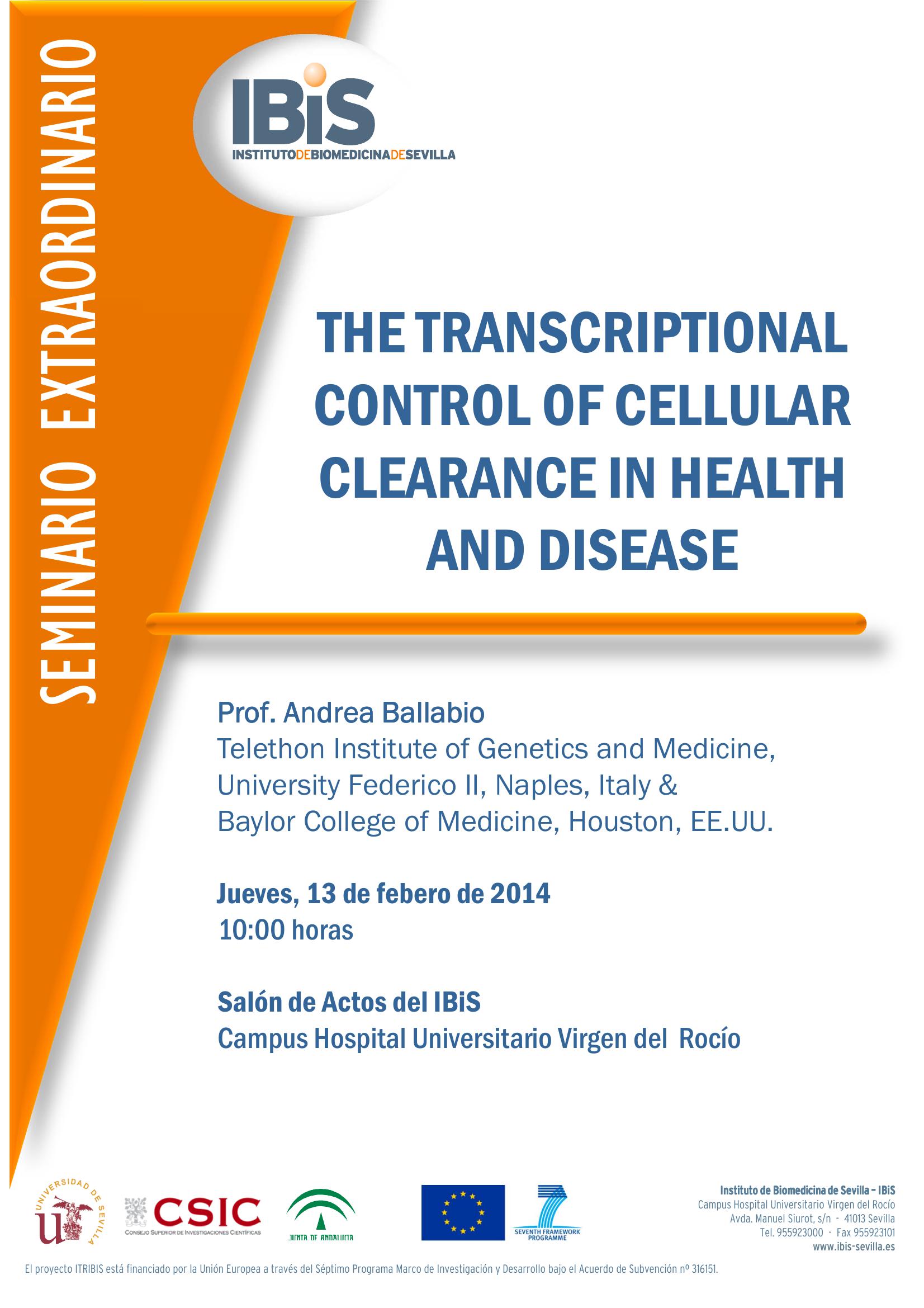 Poster: THE TRANSCRIPTIONAL CONTROL OF CELLULAR CLEARANCE IN HEALTH AND DISEASE