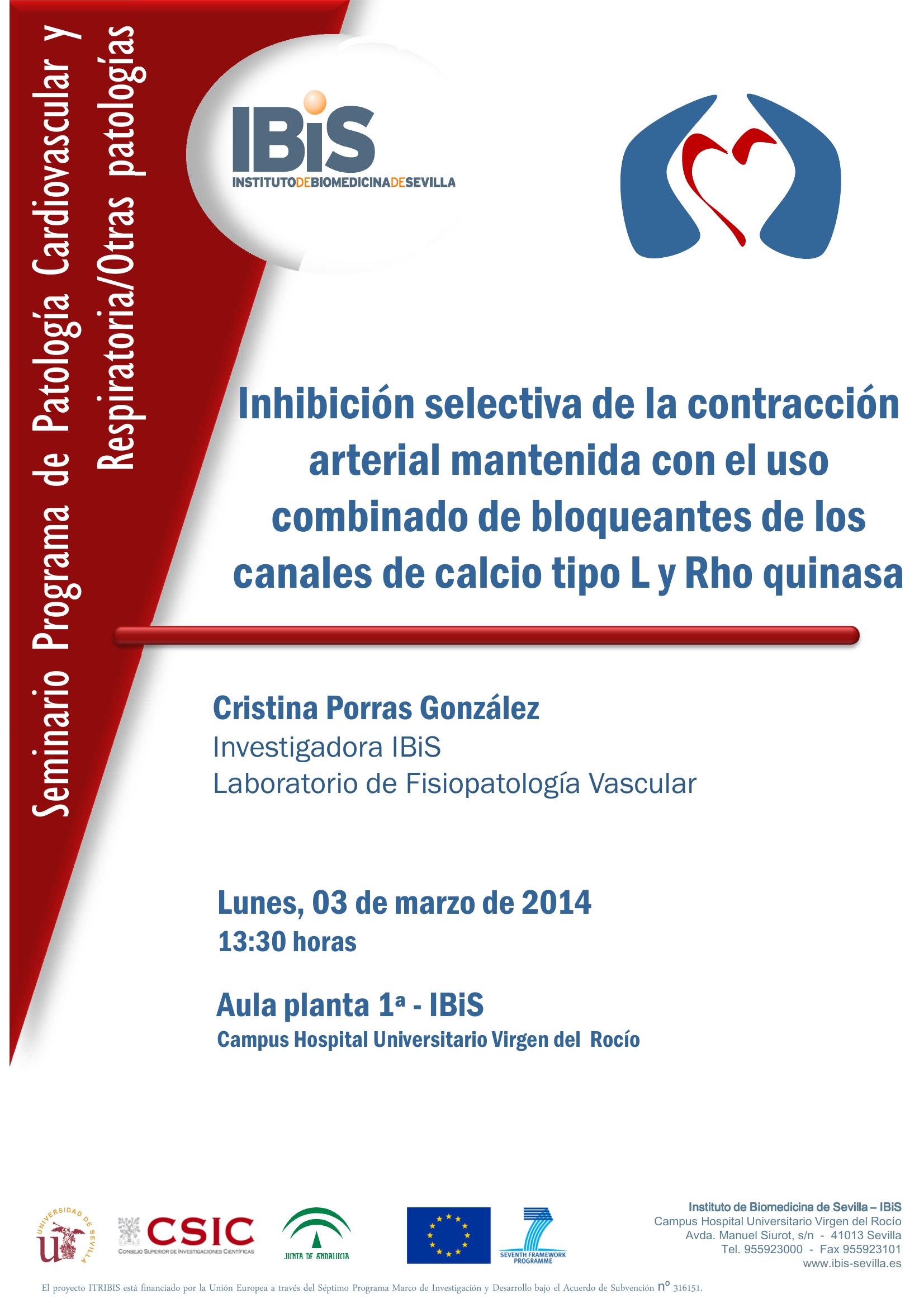 Poster: Inhibición selectiva de la contracción arterial mantenida con el uso combinado de bloqueantes de los canales de calcio tipo L y Rho quinasa