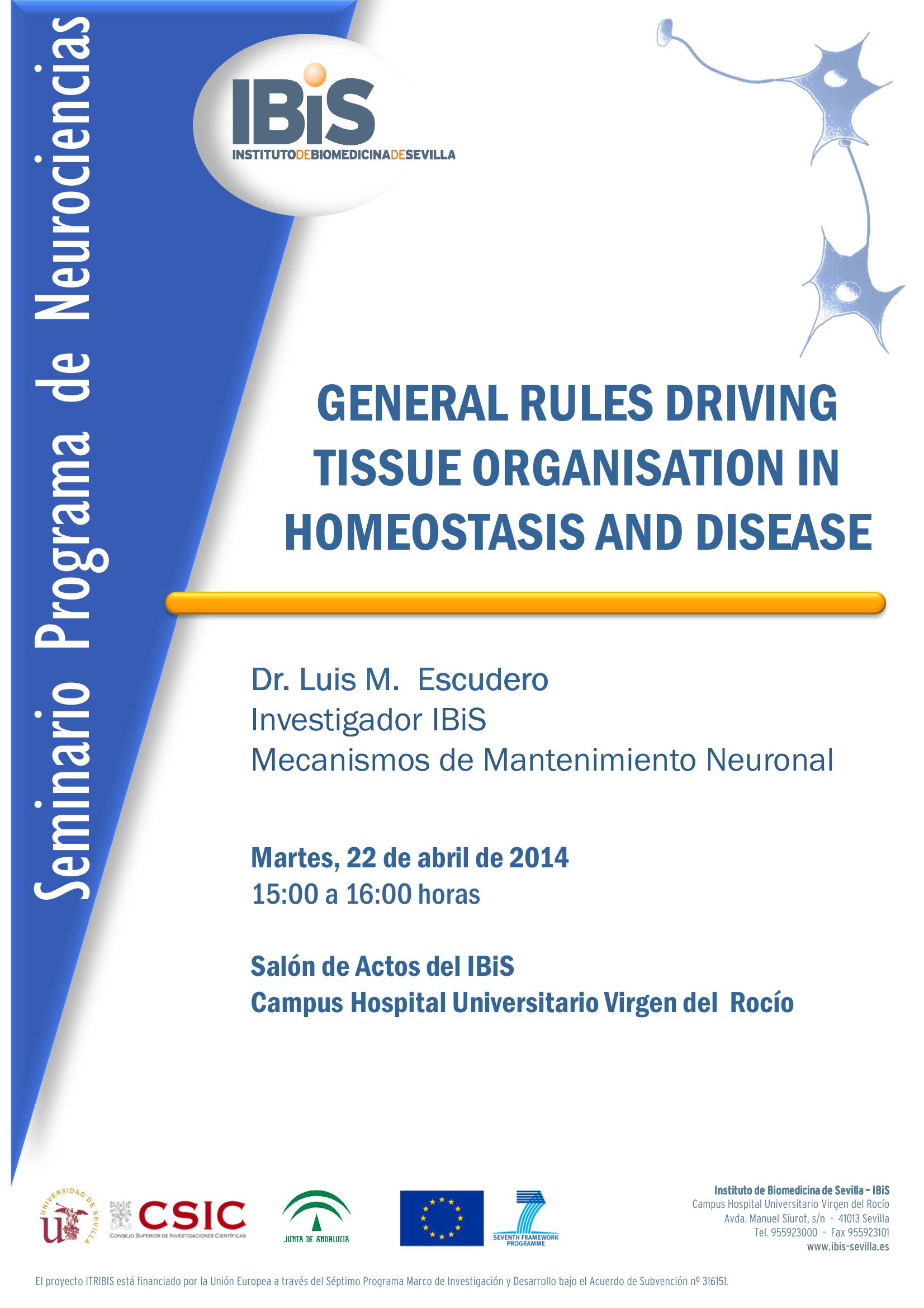 Poster: GENERAL RULES DRIVING TISSUE ORGANISATION IN HOMEOSTASIS AND DISEASE