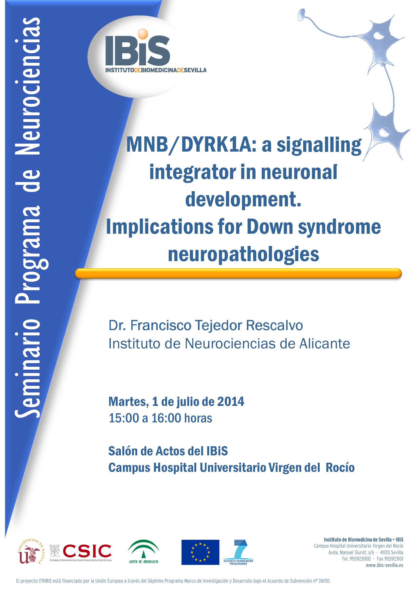 Poster: RMNB/DYRK1A: a signalling integrator in neuronal development. Implications for Down syndrome neuropathologies