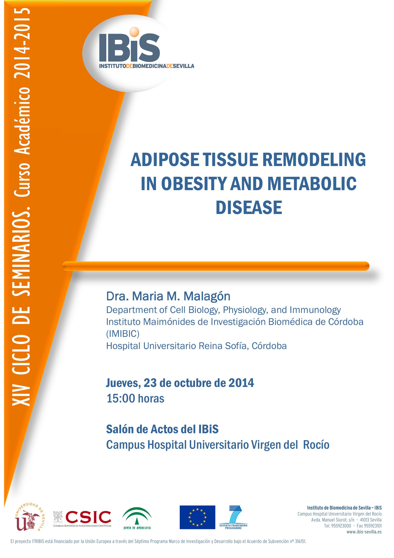 Poster: ADIPOSE TISSUE REMODELING IN OBESITY AND METABOLIC DISEASE