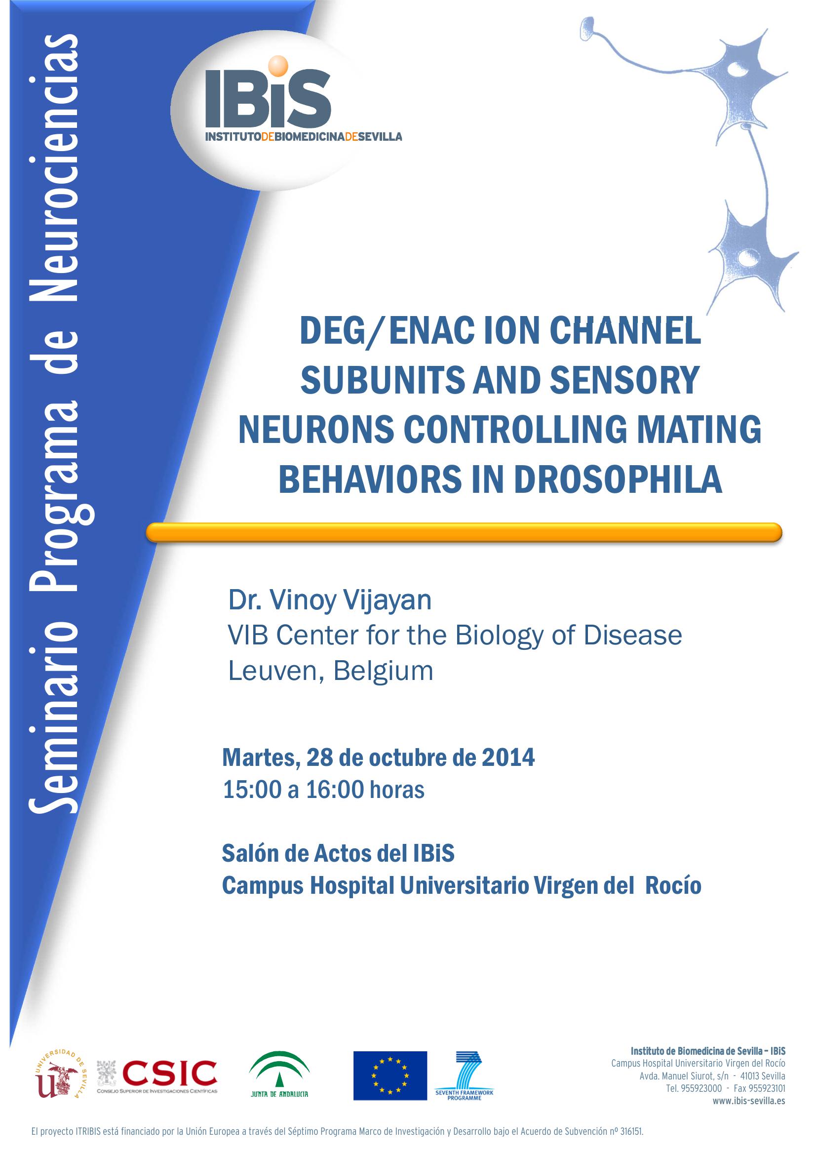 Poster: DEG/ENAC ION CHANNEL SUBUNITS AND SENSORY NEURONS CONTROLLING MATING BEHAVIORS IN DROSOPHILA