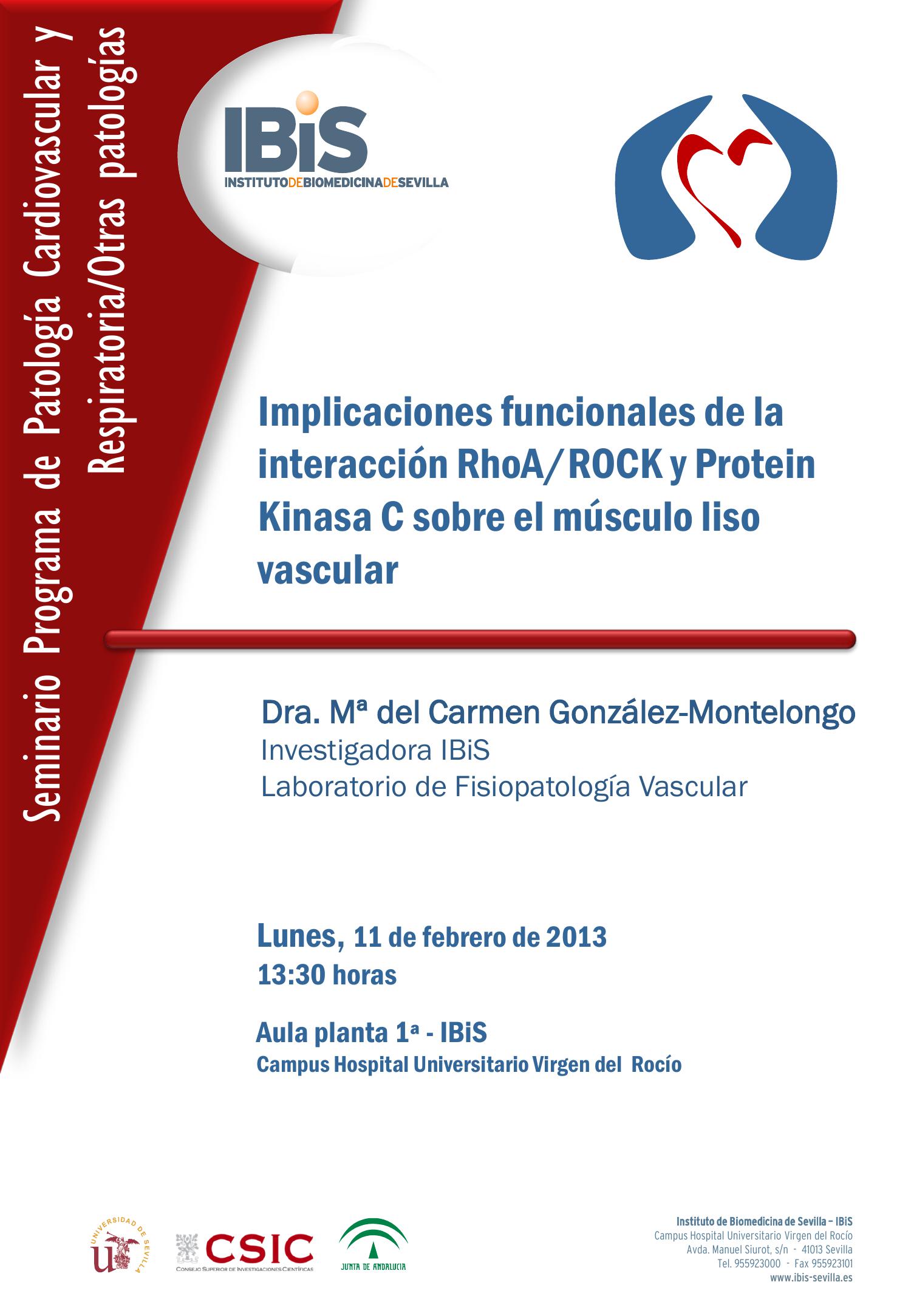 Poster: Implicaciones funcionales de la interacción RhoA/ROCK y Protein Kinasa C sobre el músculo liso vascular.