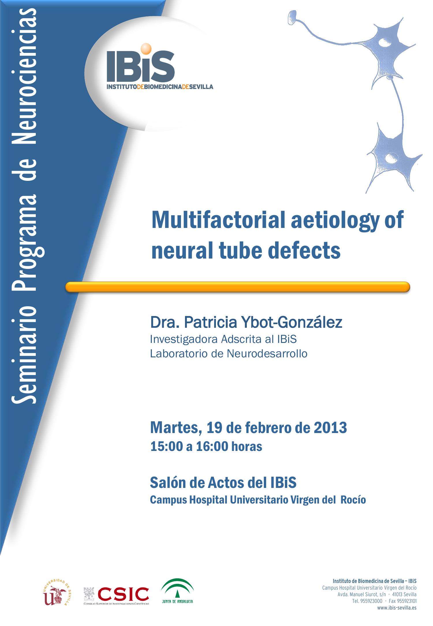 Poster: Multifactorial aetiology of neural tube defects.