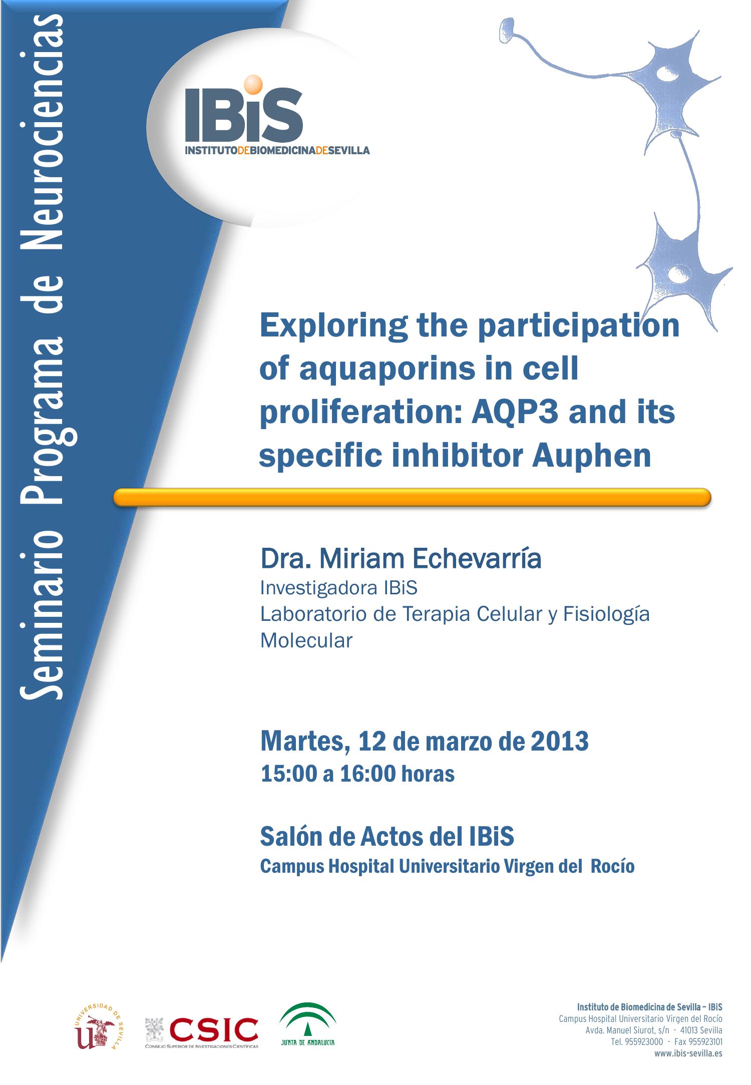 Poster: Exploring the participation of aquaporins in cell proliferation: AQP3 and its specific inhibitor Auphen.