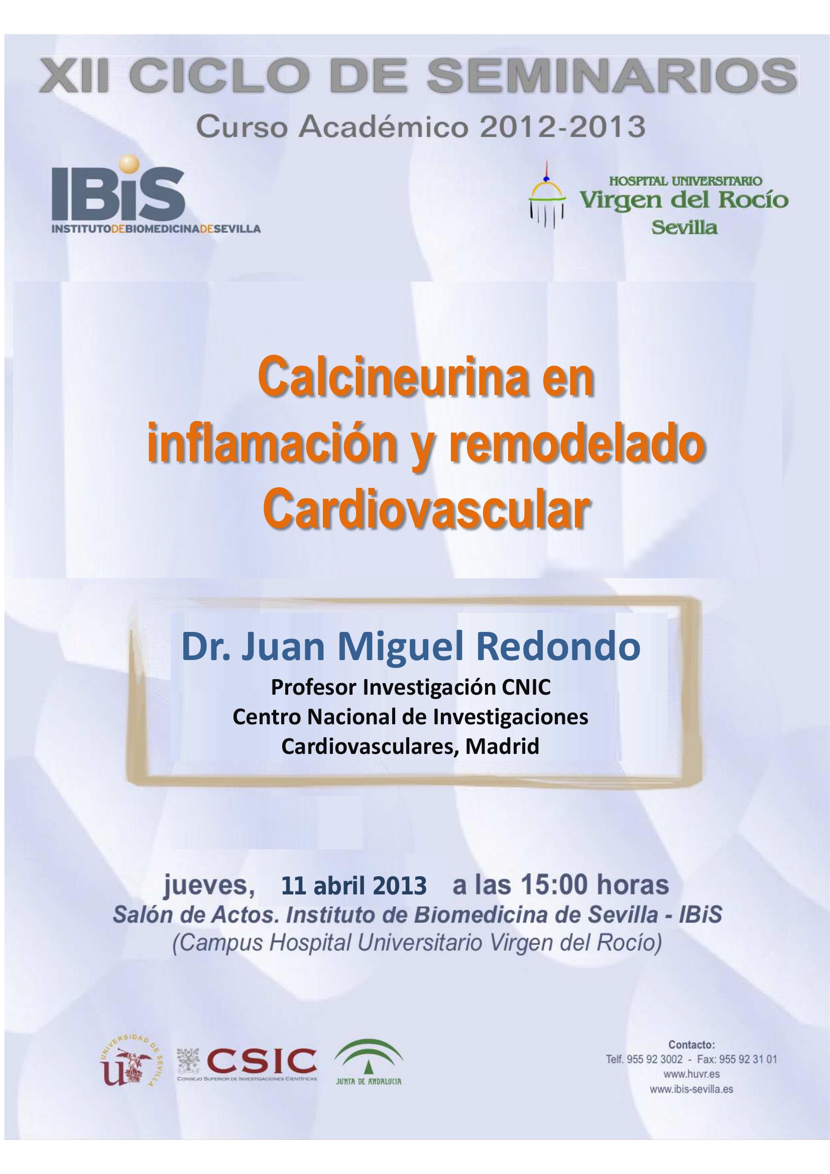 Poster: Calcineurina en inflamación y remodelado Cardiovascular