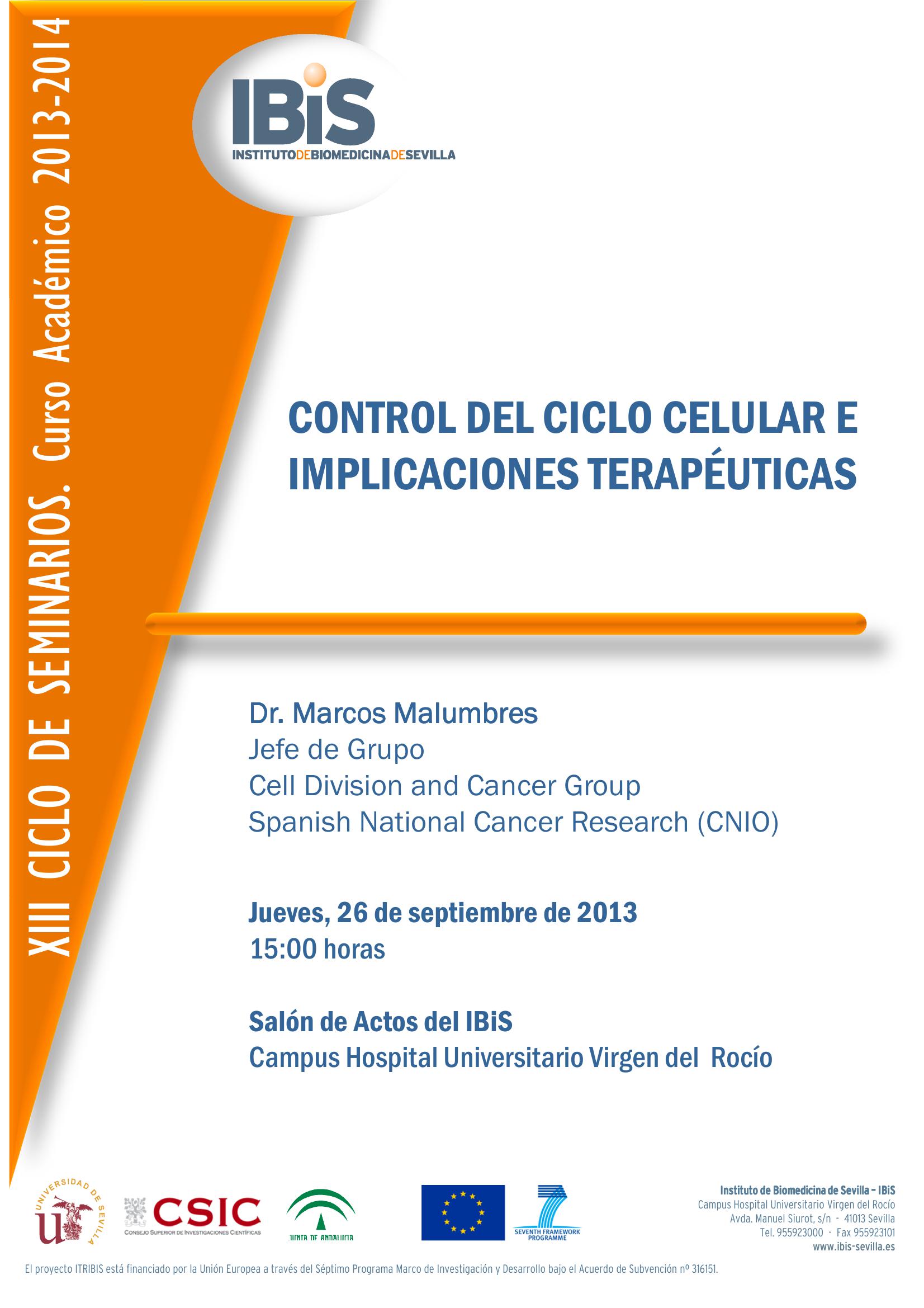Poster: Control  del ciclo celular e implicaciones terapéuticas.