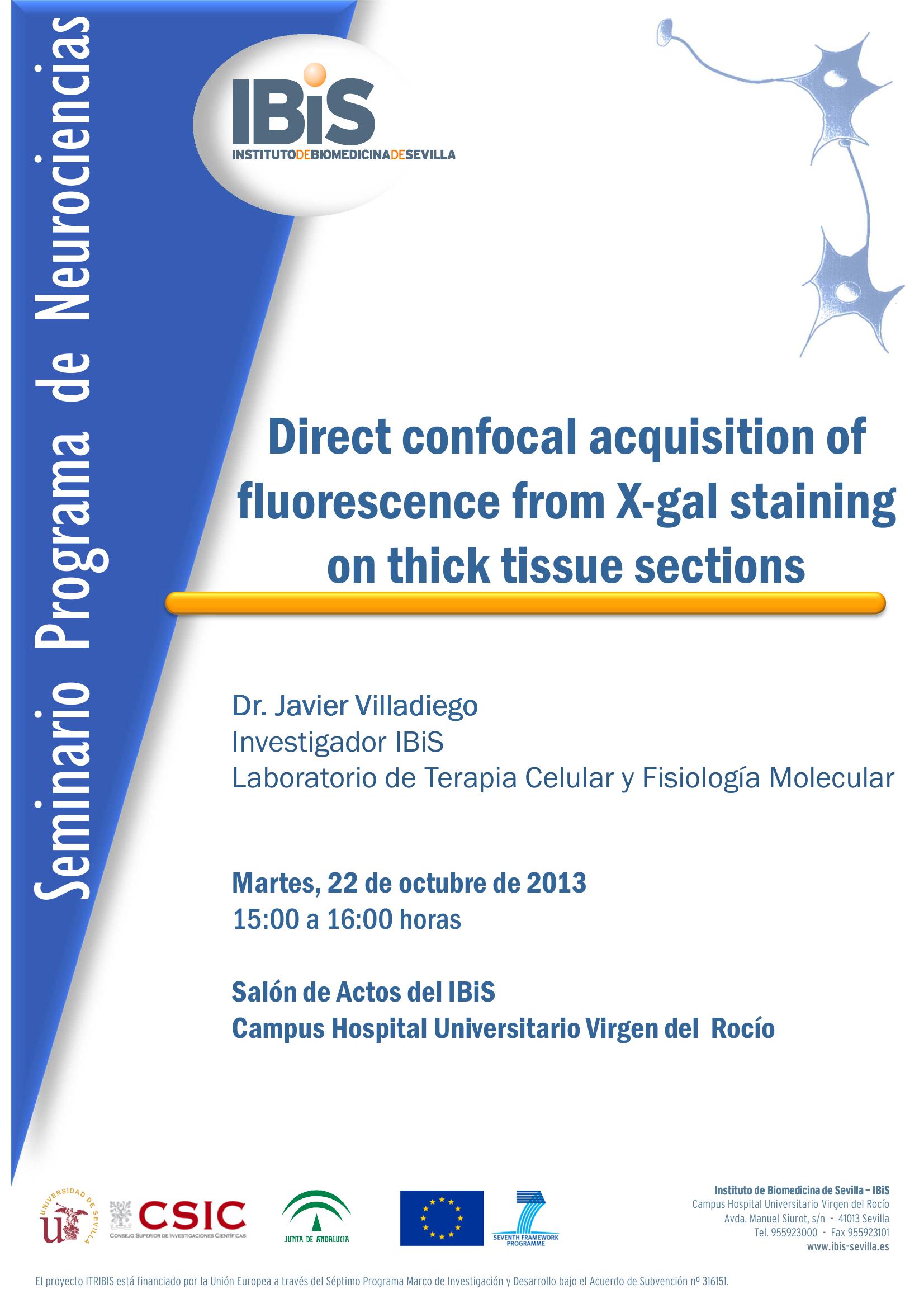 Poster: Direct confocal acquisition of fluorescence from X-gal staining on thick tissue sections