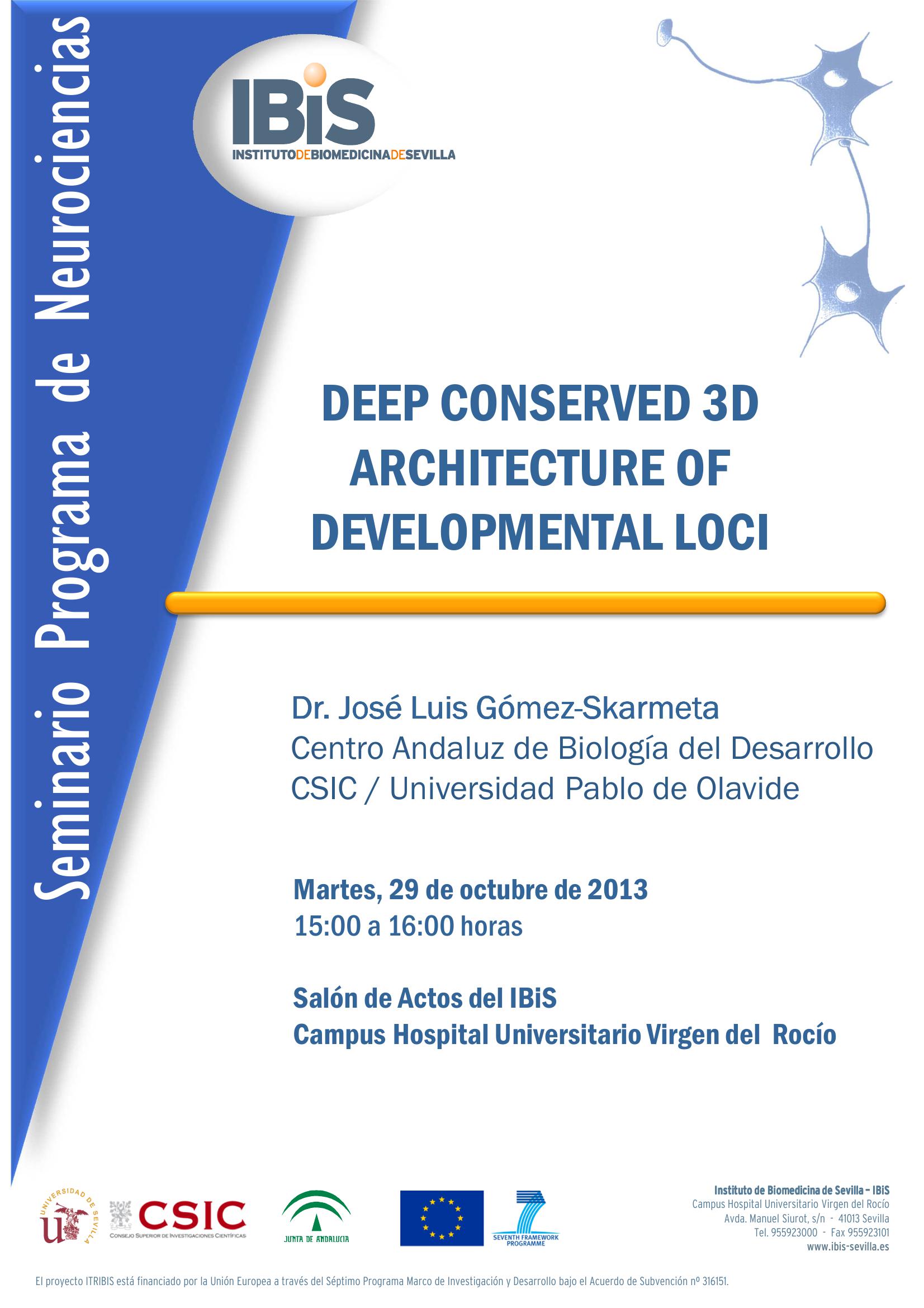 Poster: DEEP CONSERVED 3D ARCHITECTURE OF DEVELOPMENTAL LOCI