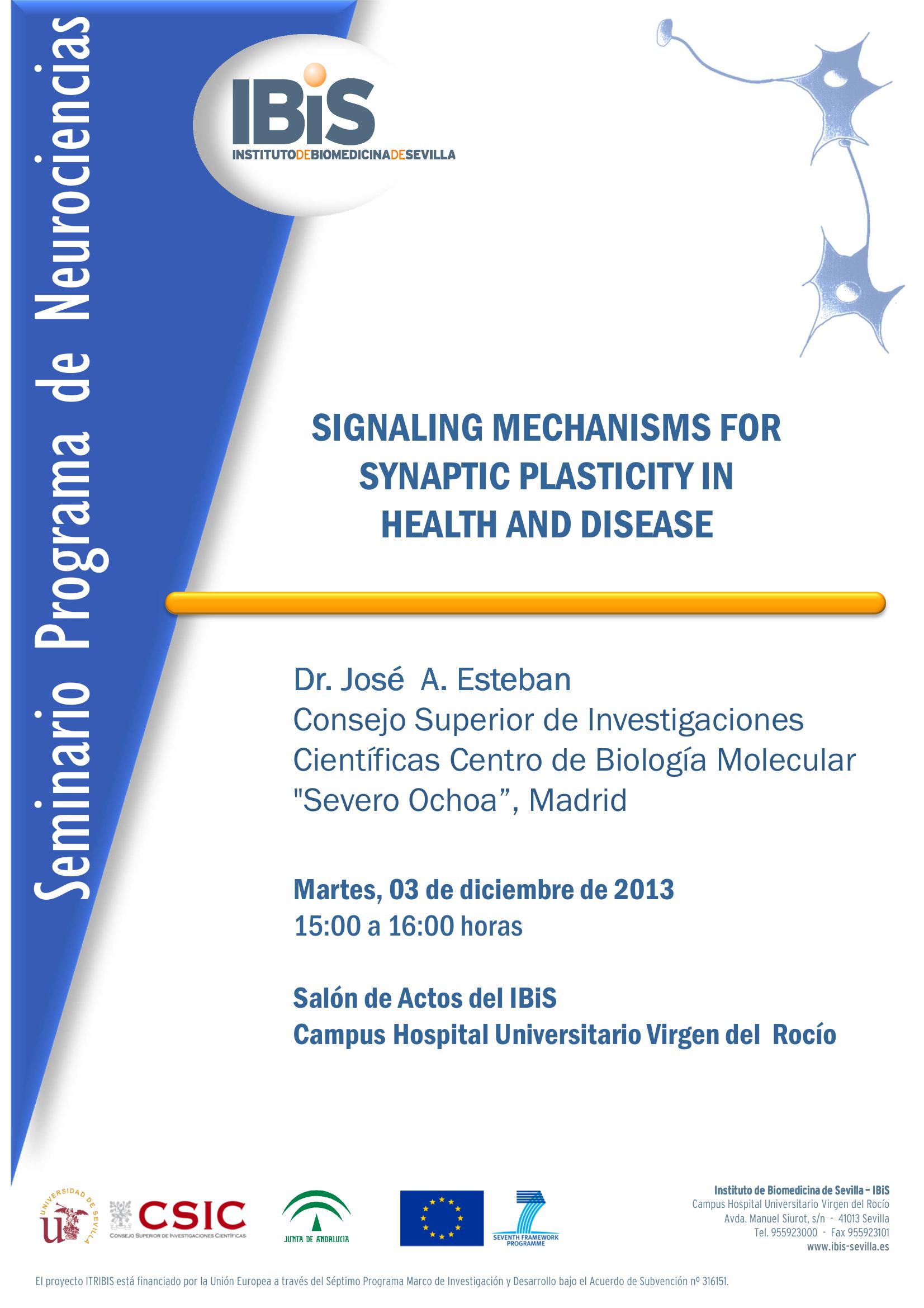 Poster: SIGNALING MECHANISMS FOR SYNAPTIC PLASTICITY IN HEALTH AND DISEASE