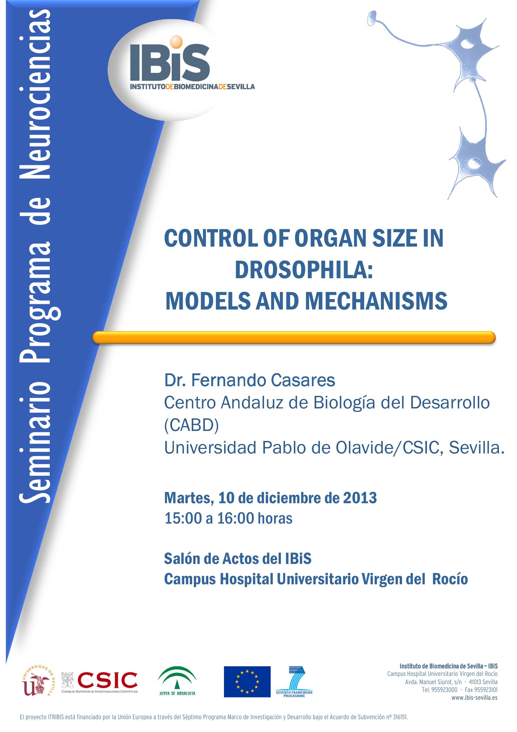 Poster: CONTROL OF ORGAN SIZE IN DROSOPHILA: MODELS AND MECHANISMS