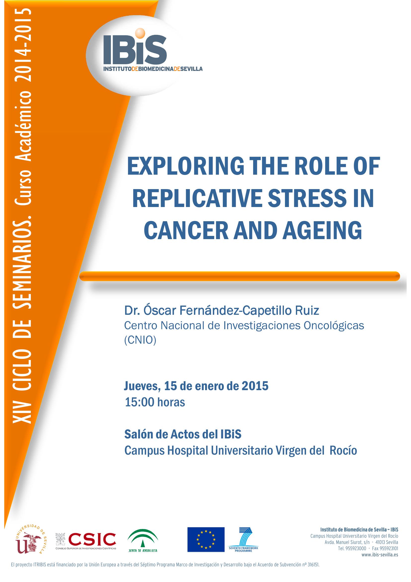 Poster: EXPLORING THE ROLE OF REPLICATIVE STRESS IN CANCER AND AGEING