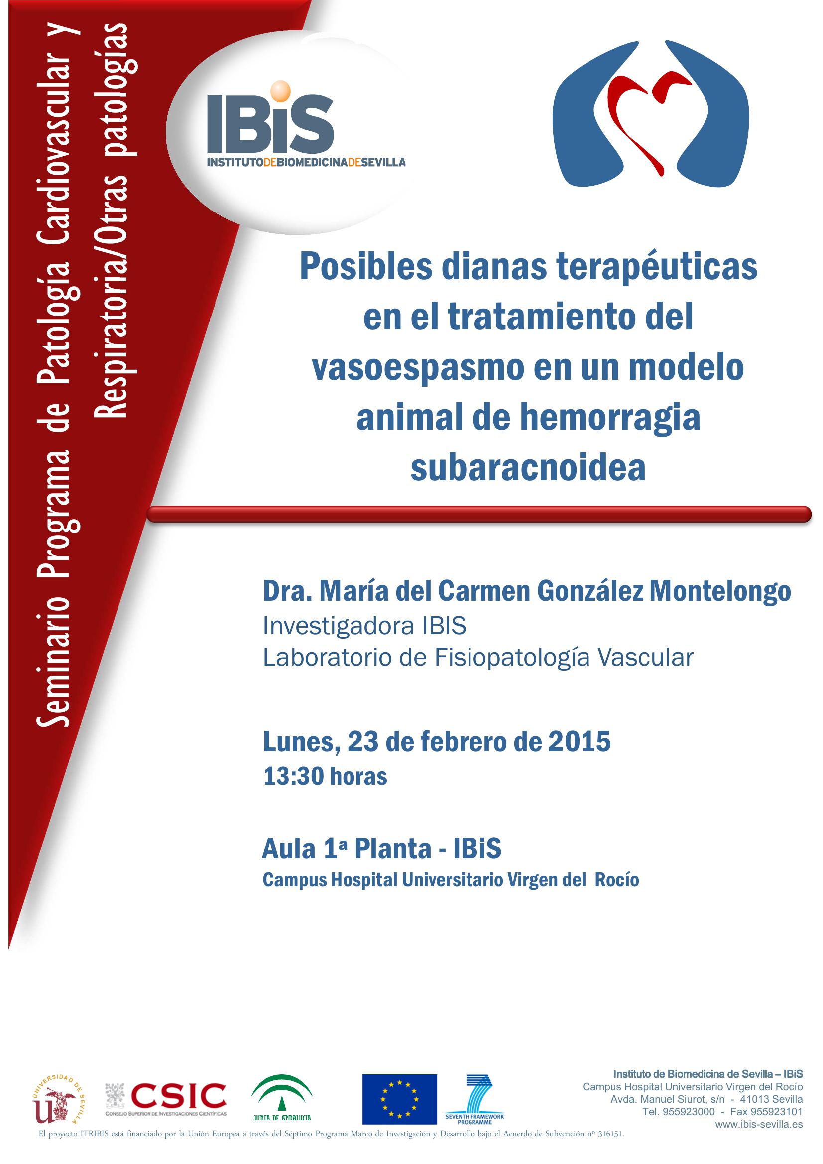 Poster: Posibles dianas terapéuticas en el tratamiento del vasoespasmo en un modelo animal de hemorragia subaracnoidea