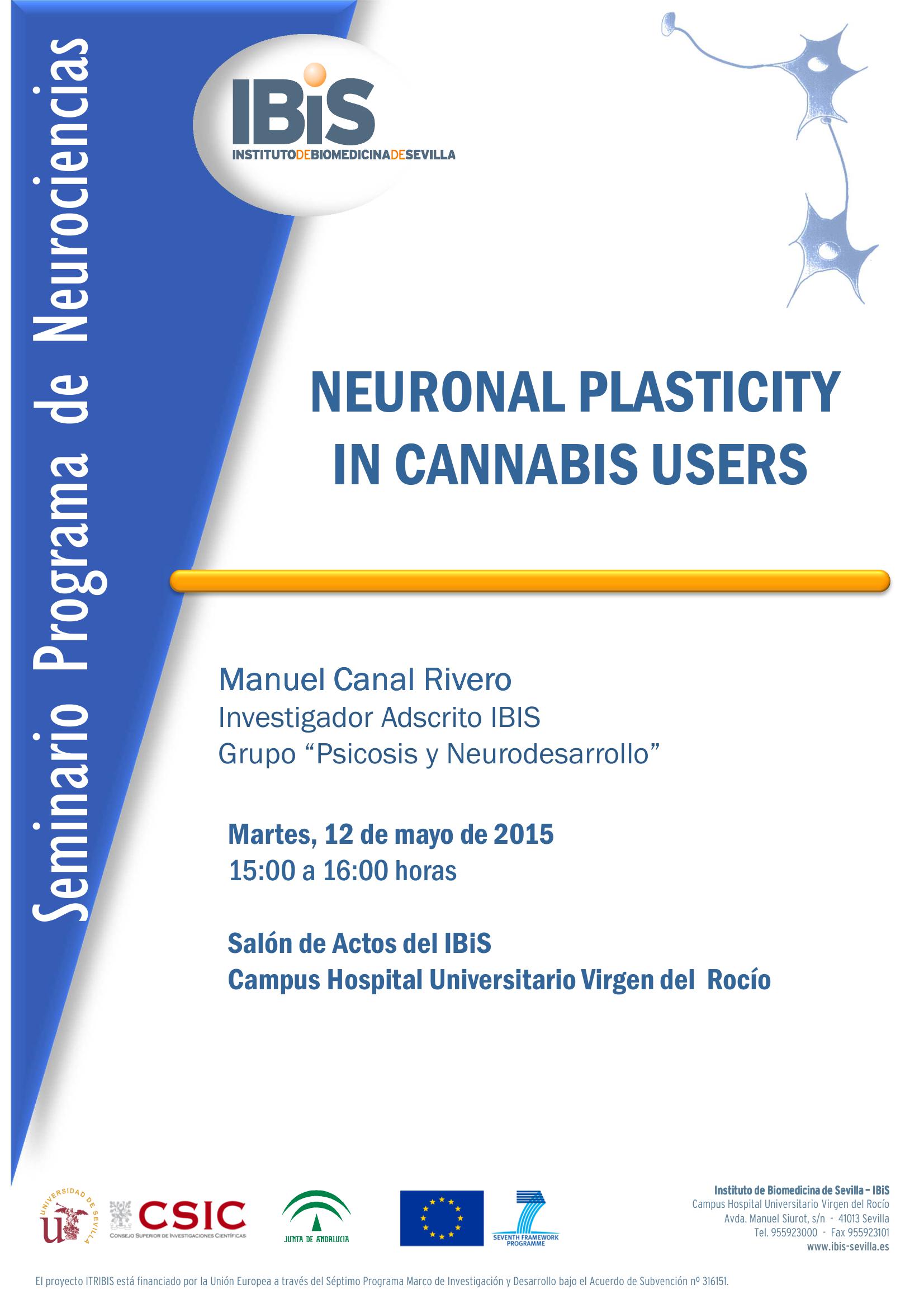 Poster: NEURONAL PLASTICITY  IN CANNABIS USERS