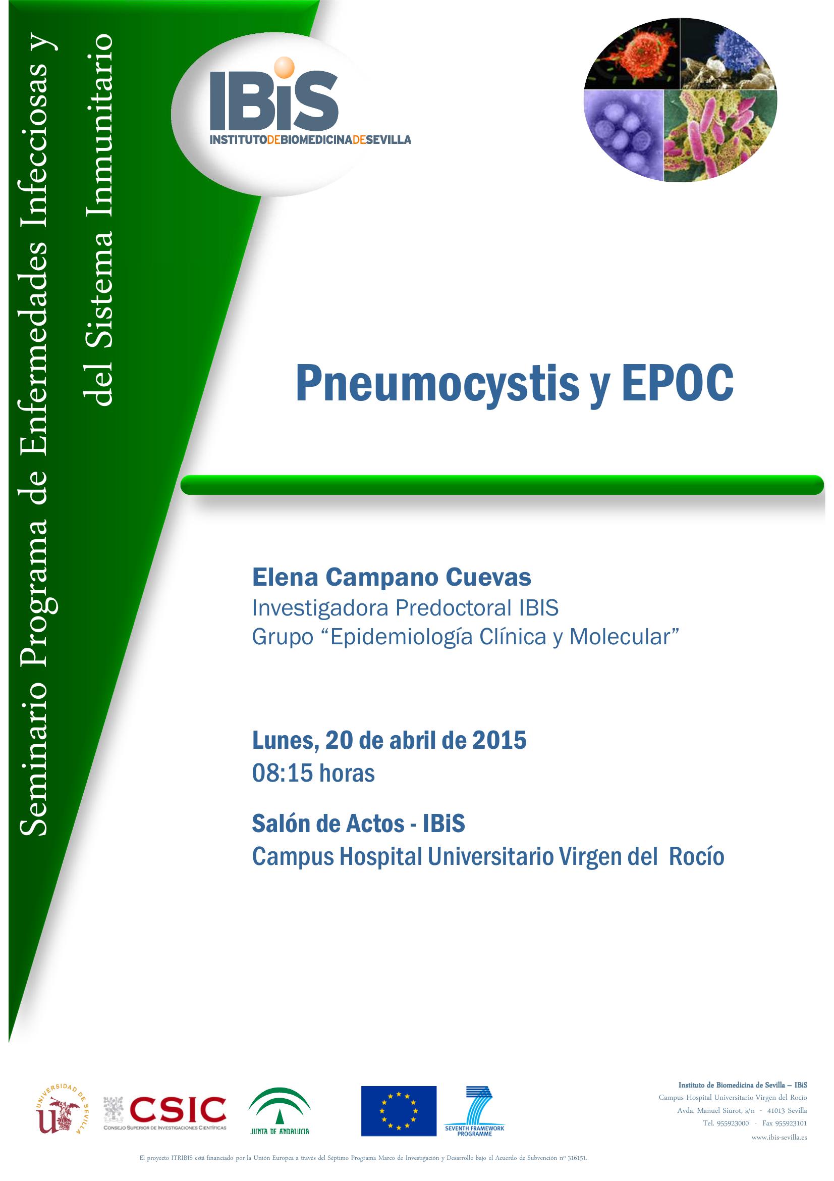 Poster: Pneumocystis y EPOC
