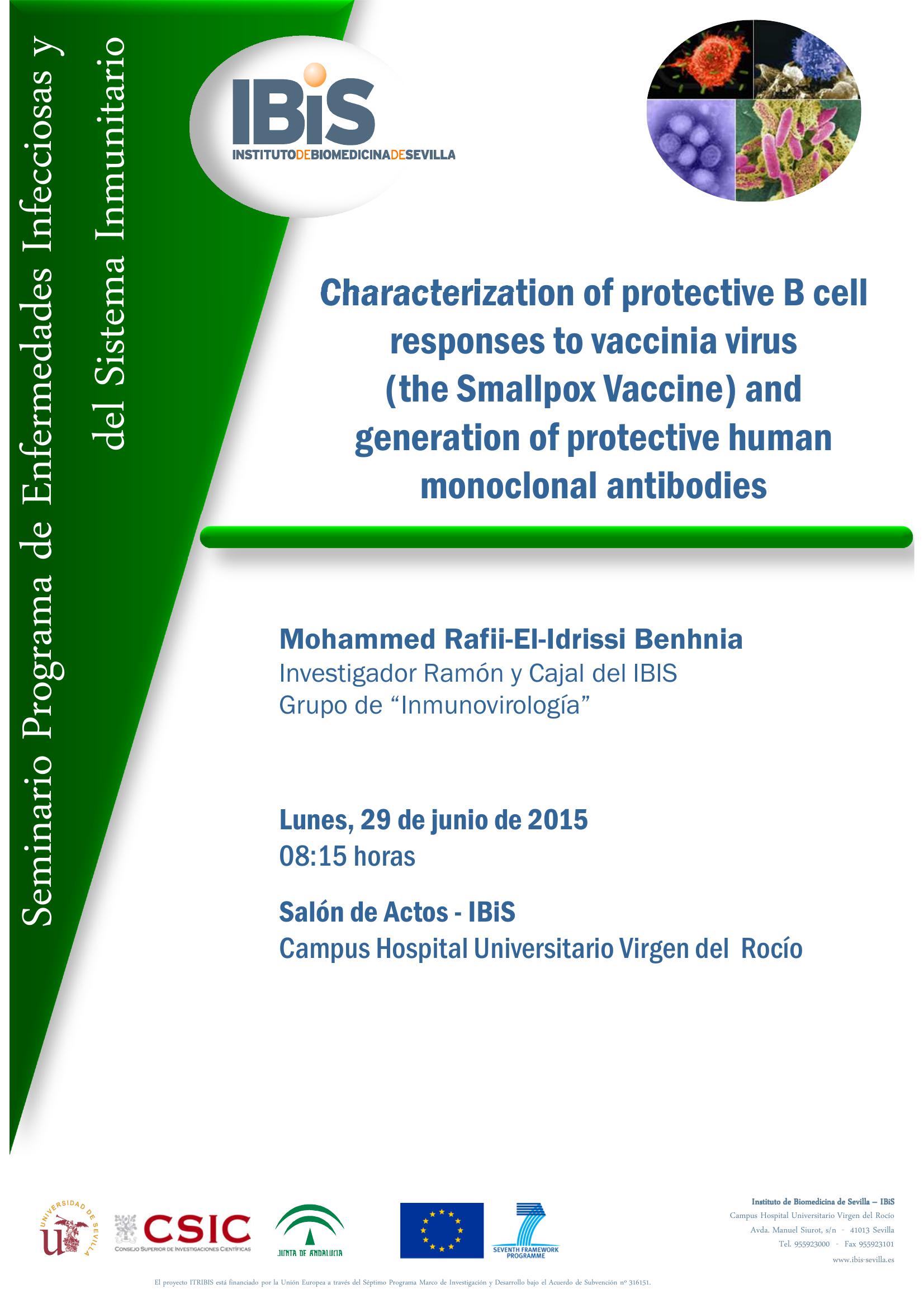 Poster: Characterization of protective B cell responses to vaccinia virus  (the Smallpox Vaccine) and  generation of protective human monoclonal antibodies