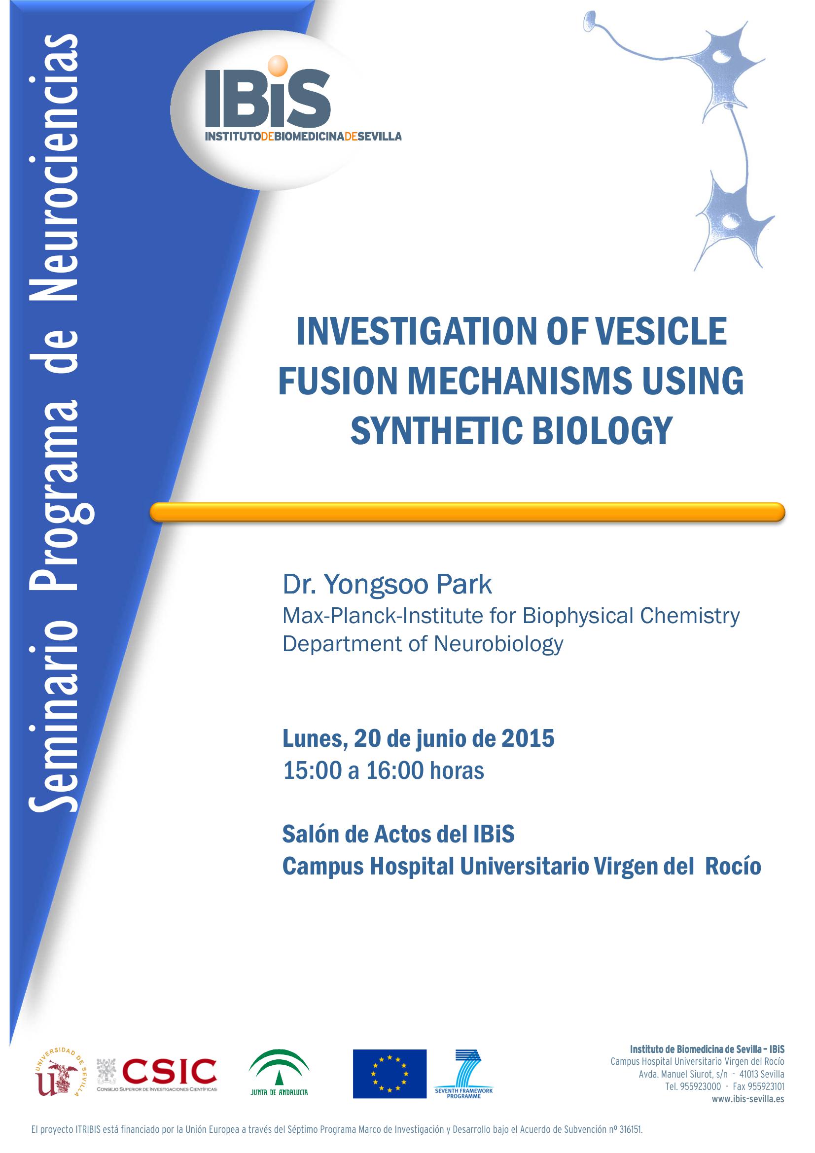 Poster: INVESTIGATION OF VESICLE FUSION MECHANISMS USING SYNTHETIC BIOLOGY
