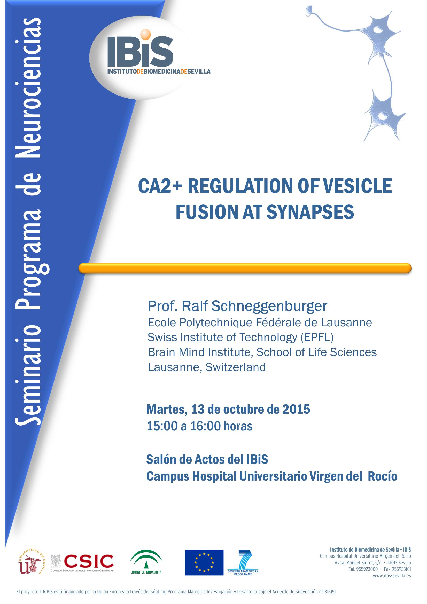 Poster: CA2+ REGULATION OF VESICLE FUSION AT SYNAPSES