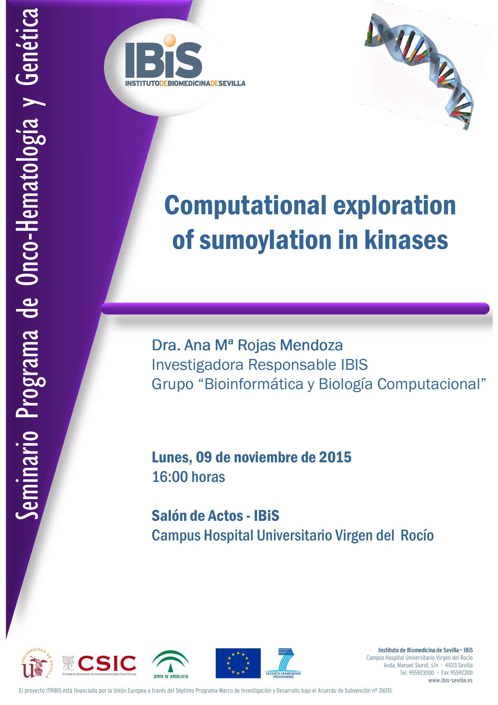 Poster: Computational exploration of sumoylation in kinases