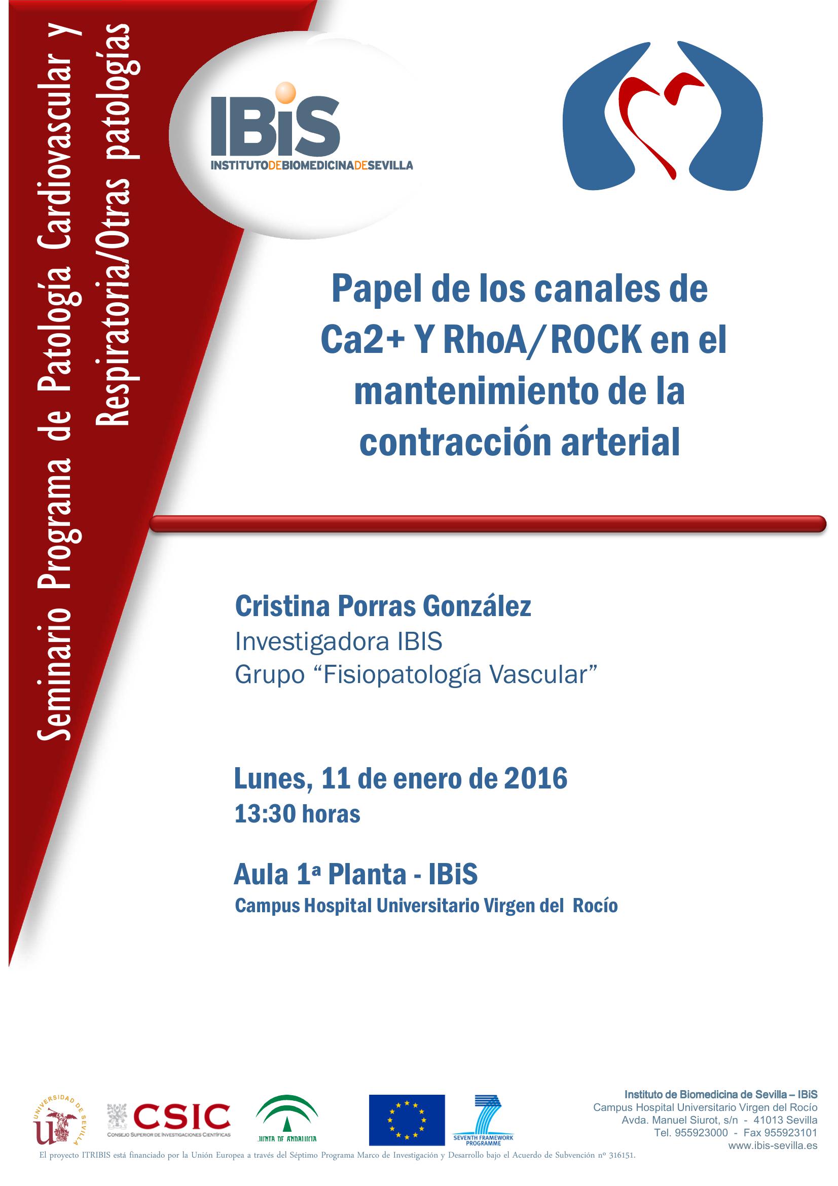 Poster: Papel de los canales de  Ca2+ Y RhoA/ROCK en el mantenimiento de la  contracción arterial