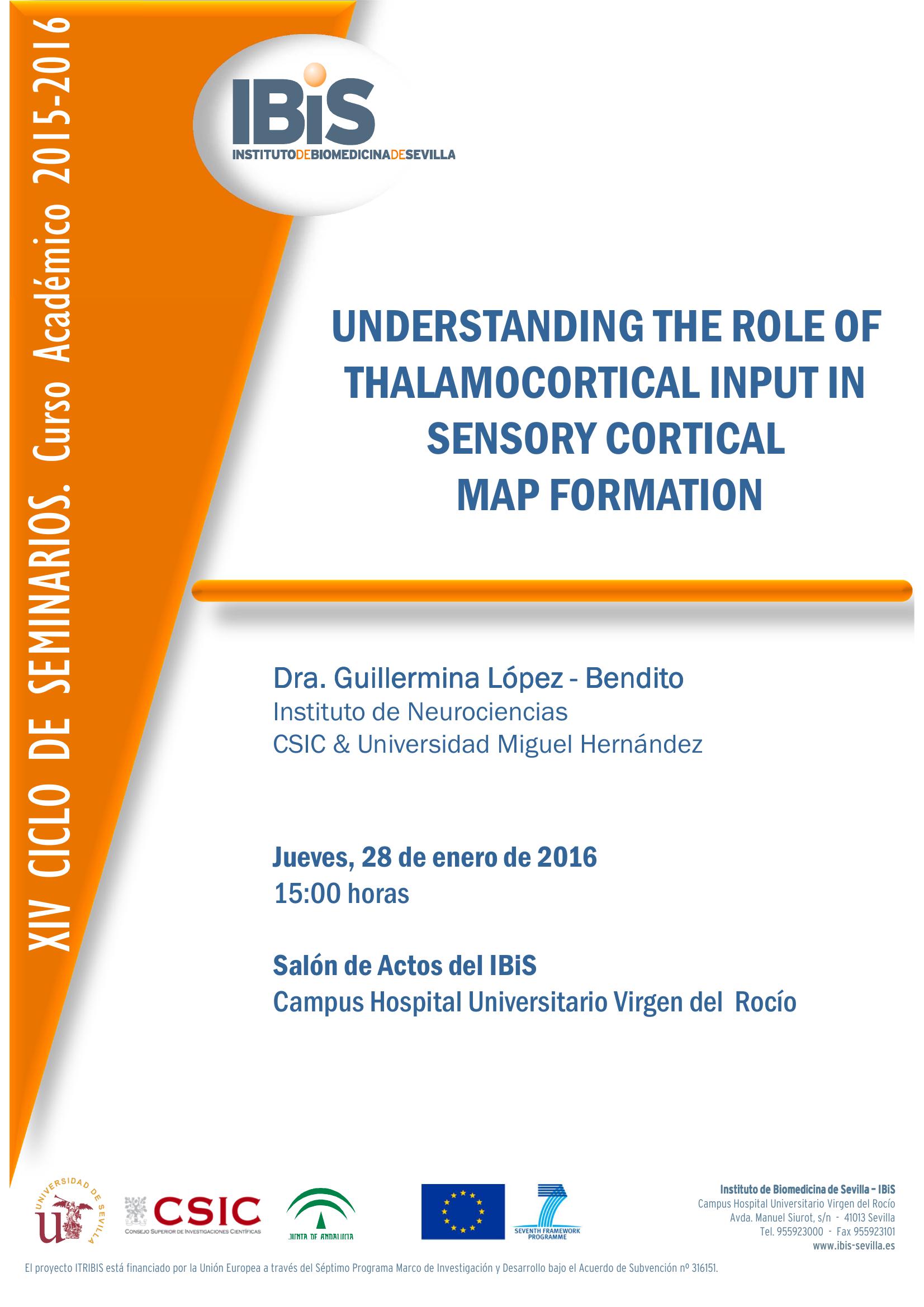 Poster: UNDERSTANDING THE ROLE OF THALAMOCORTICAL INPUT IN SENSORY CORTICAL  MAP FORMATION