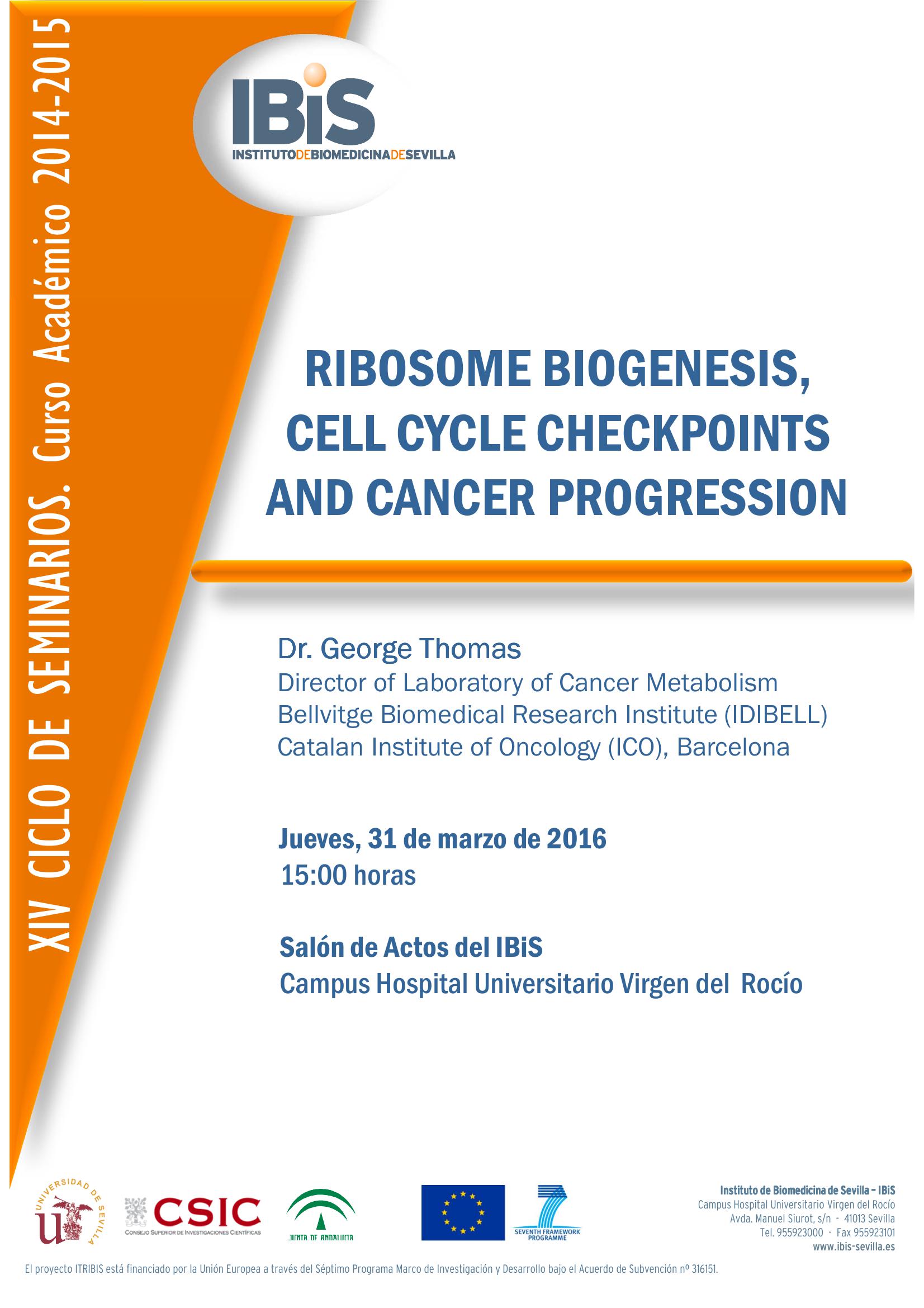 Poster: RIBOSOME BIOGENESIS,  CELL CYCLE CHECKPOINTS  AND CANCER PROGRESSION