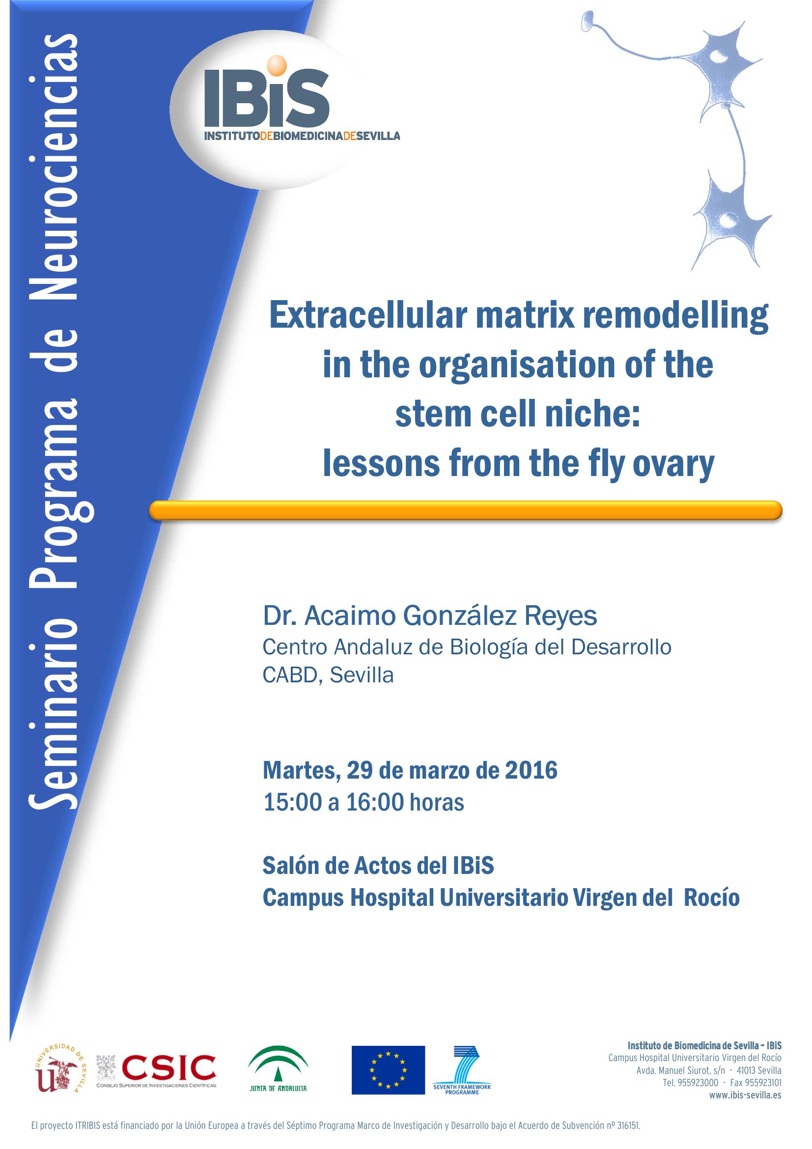 Poster: CANCELADO: Extracellular matrix remodelling in the organisation of the  stem cell niche:  lessons from the fly ovary