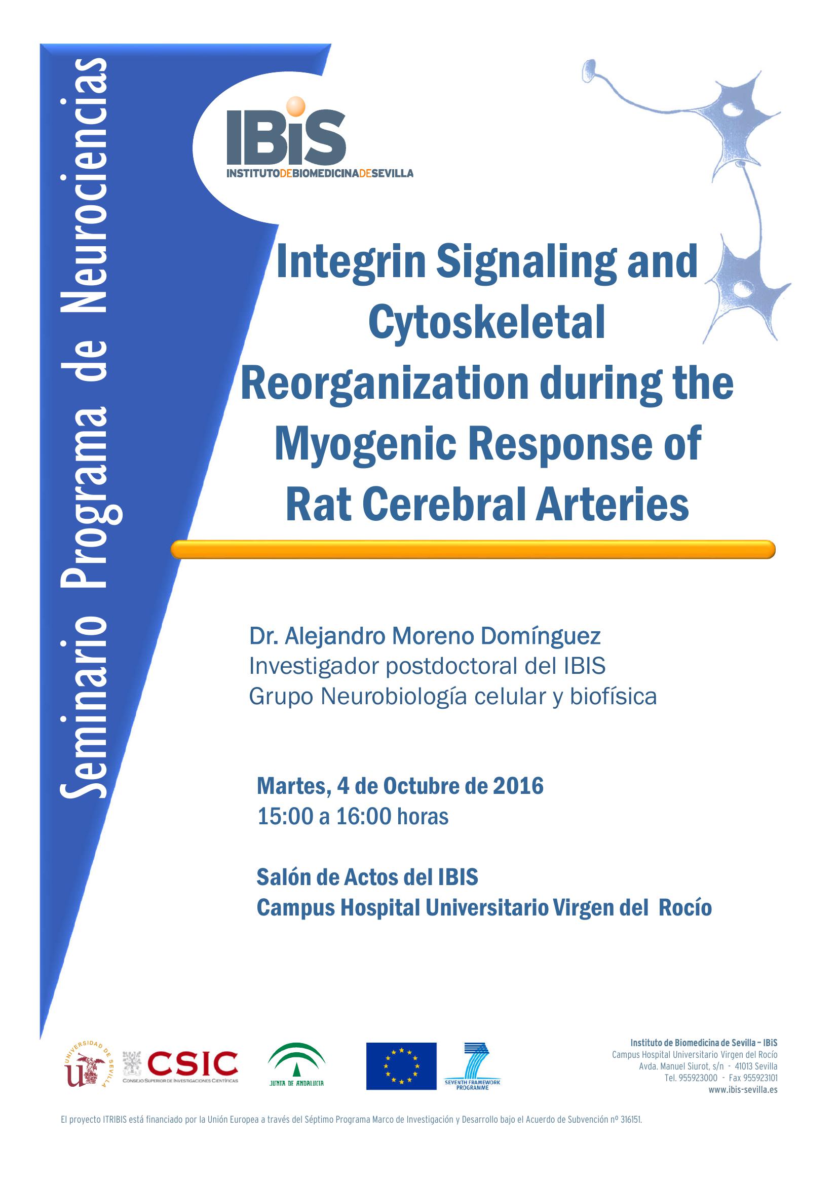 Poster: INTEGRIN SIGNALING AND CYTOSKELETAL REORGANIZATION DURING THE MYOGENIC RESPONSE OF RAT CEREBRAL ARTERIES