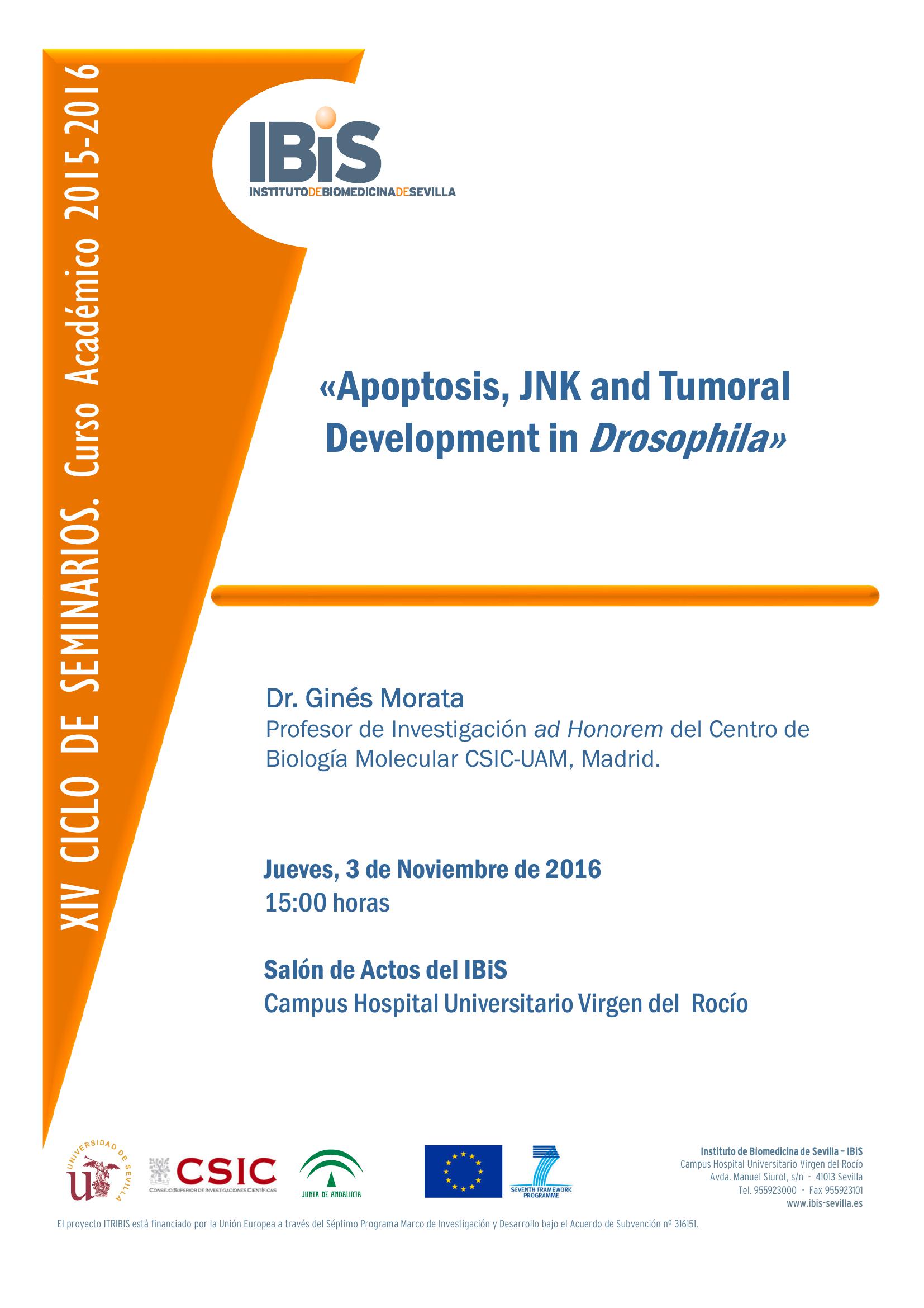 Poster: Apoptosis, JNK and Tumoral Development in Drosophila