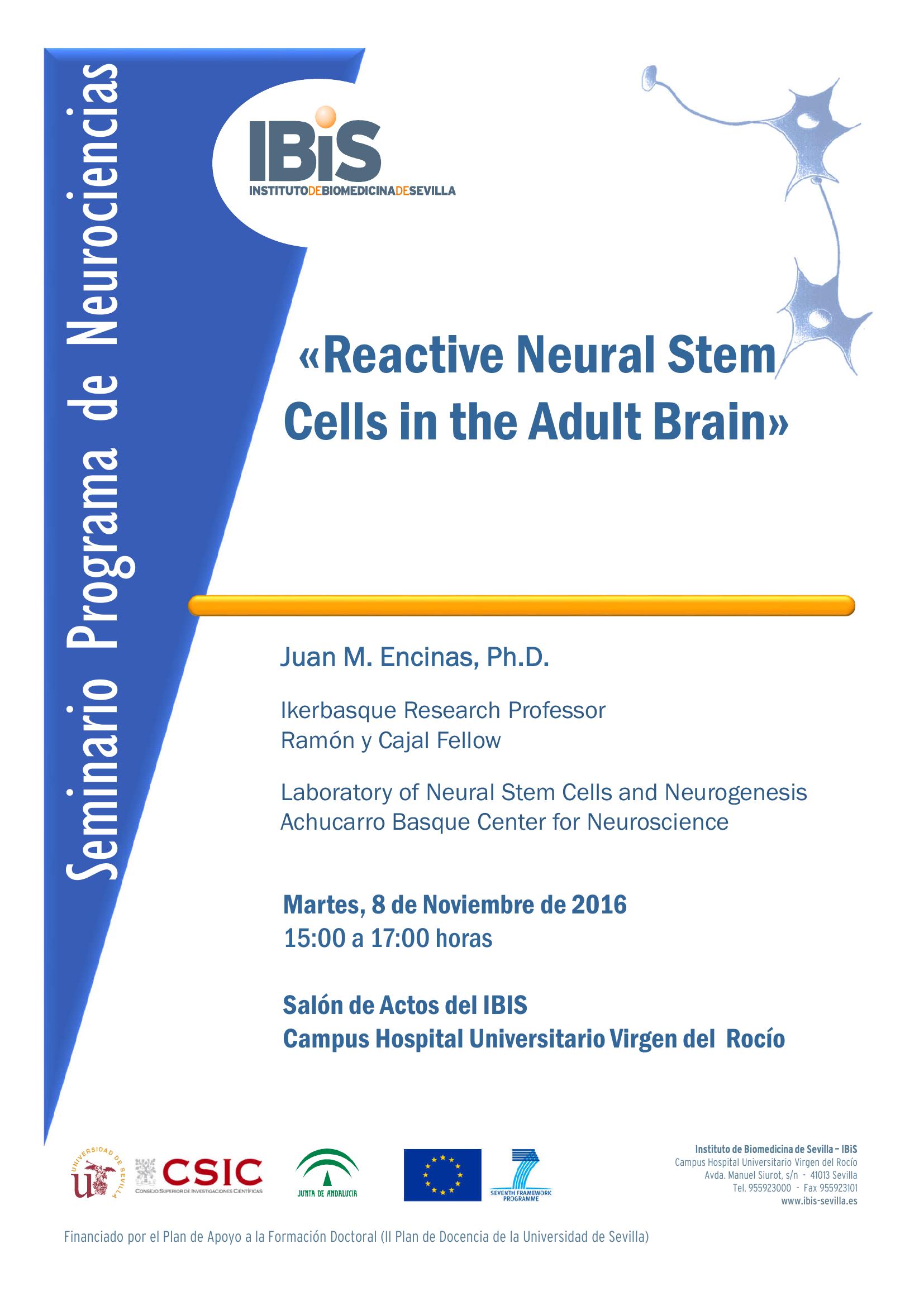 Poster: Reactive Neural Stem Cells in the Adult Brain