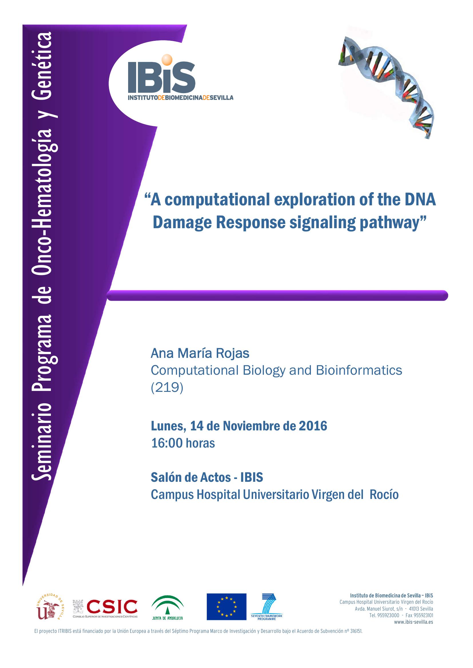 Poster: A computational exploration of the DNA Damage Response signaling pathway