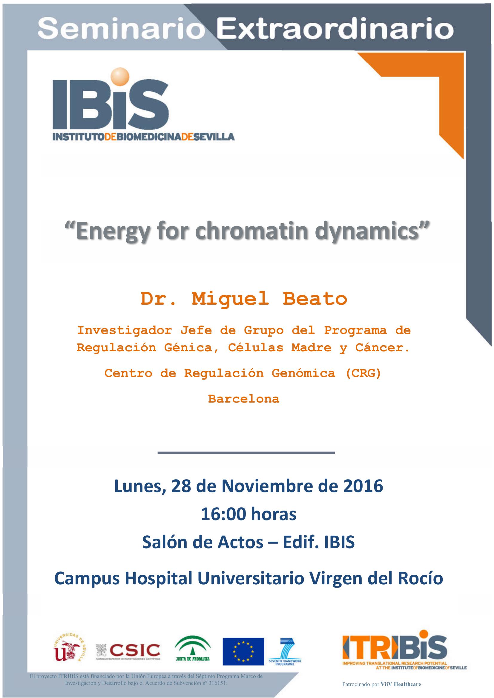 Poster: Energy for chromatin dynamics