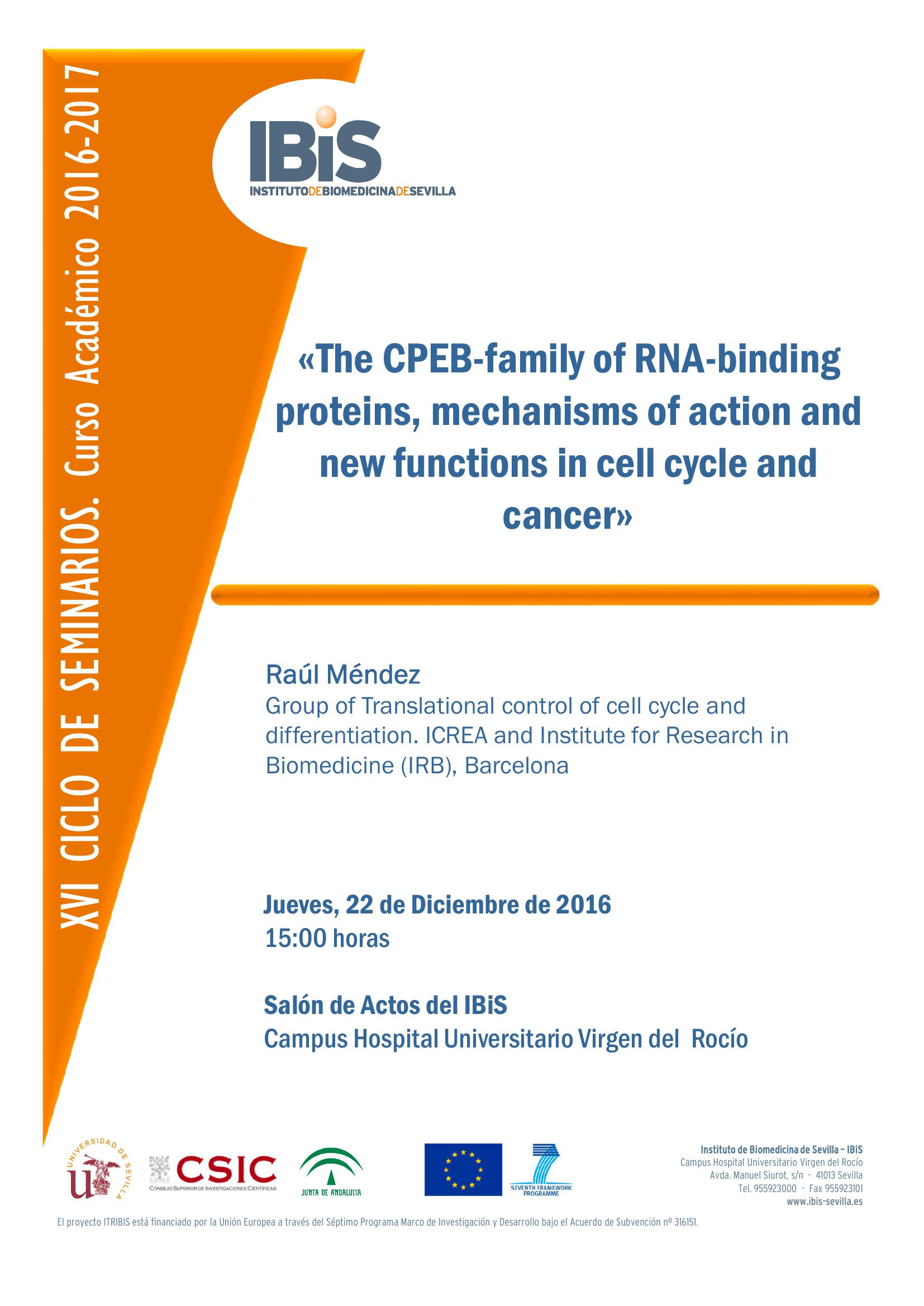 Poster: The CPEB-family of RNA-binding proteins, mechanisms of action and new functions in cell cycle and cancer