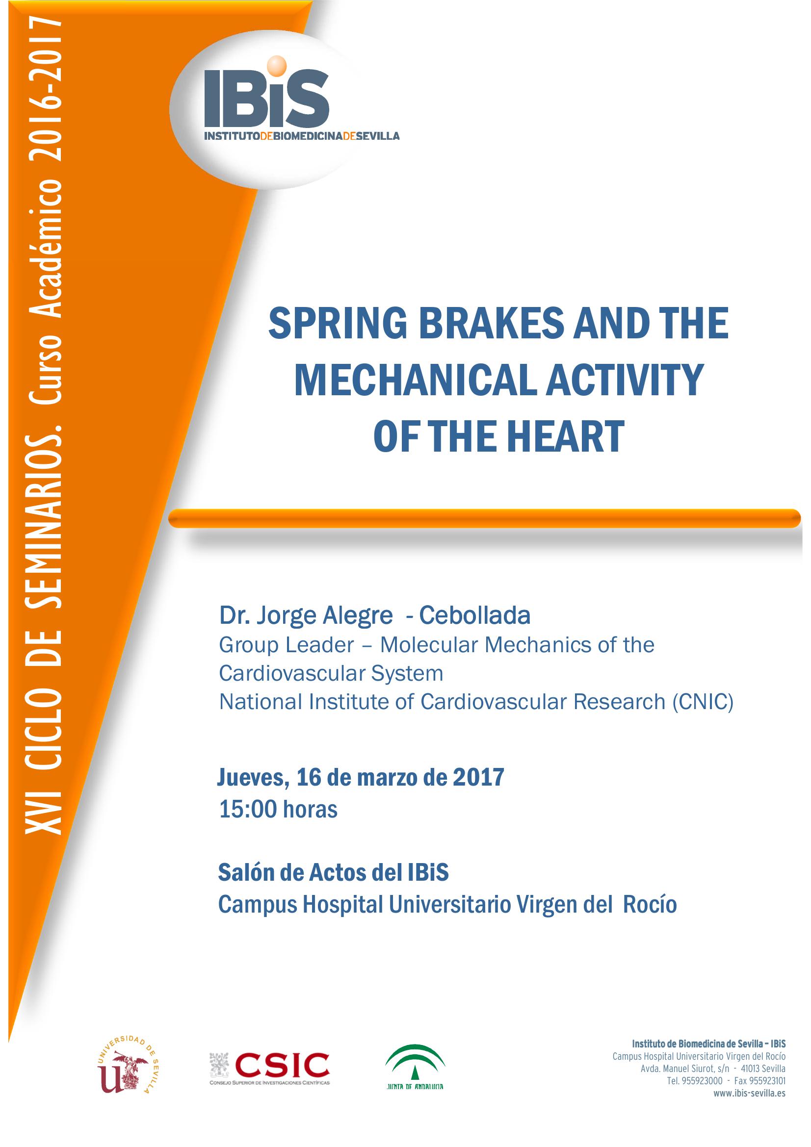 Poster: SPRING BRAKES AND THE MECHANICAL ACTIVITY  OF THE HEART