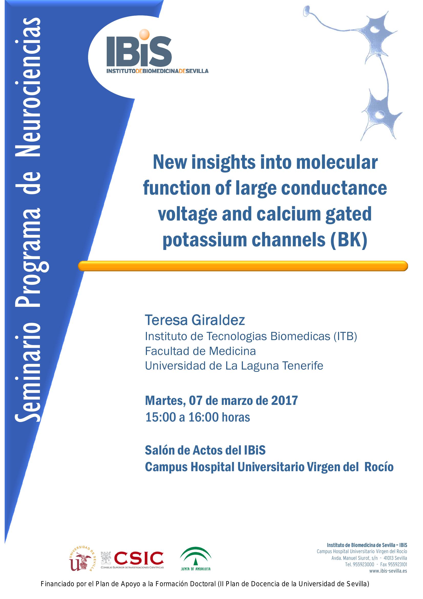 Poster: New insights into molecular function of large conductance voltage and calcium gated potassium channels (BK)