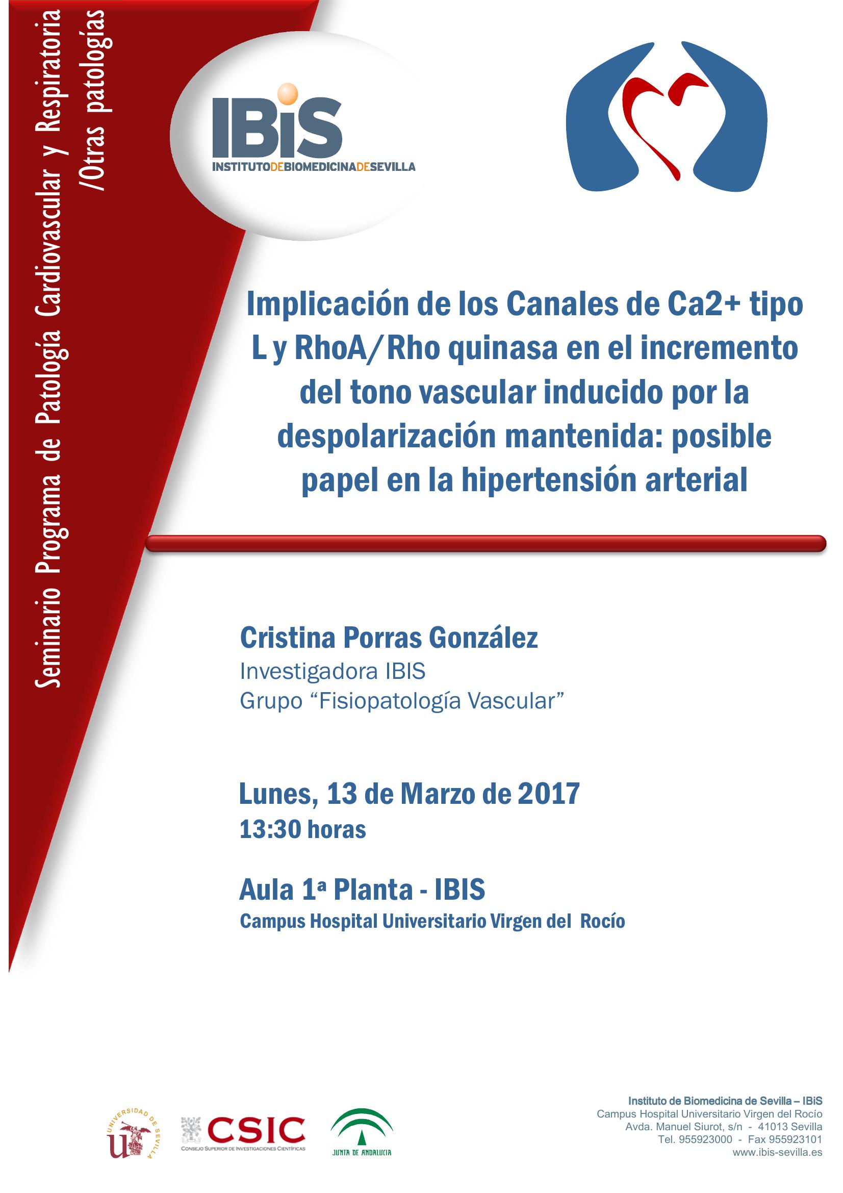 Poster: Implicación de los Canales de Ca2+ tipo L y RhoA/Rho quinasa en el incremento del tono vascular inducido por la despolarización mantenida: posible papel en la hipertensión arterial